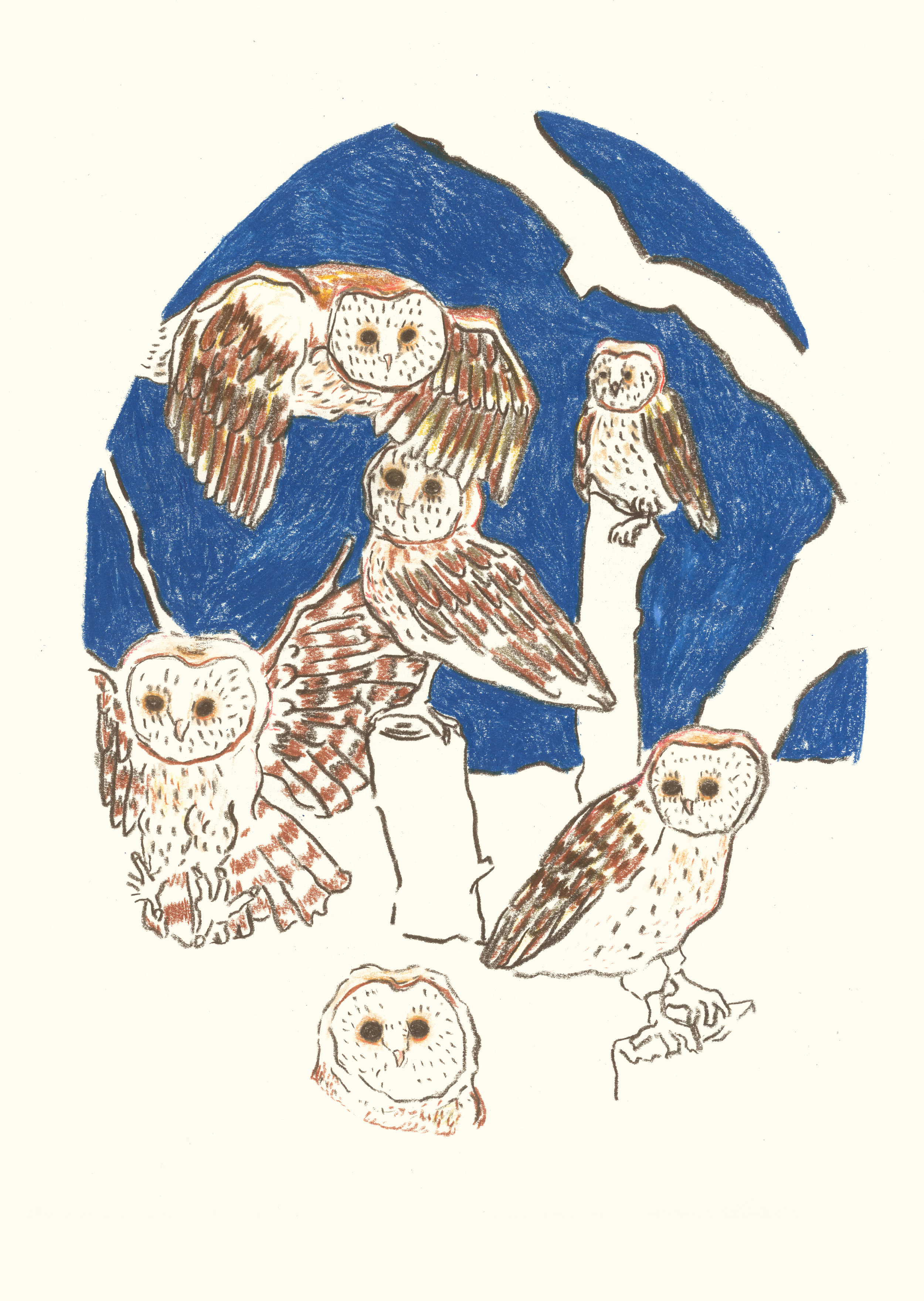 owls.jpg