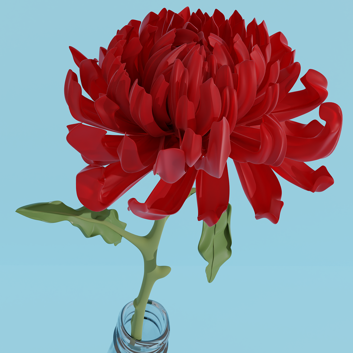 untitled 11web copy.png