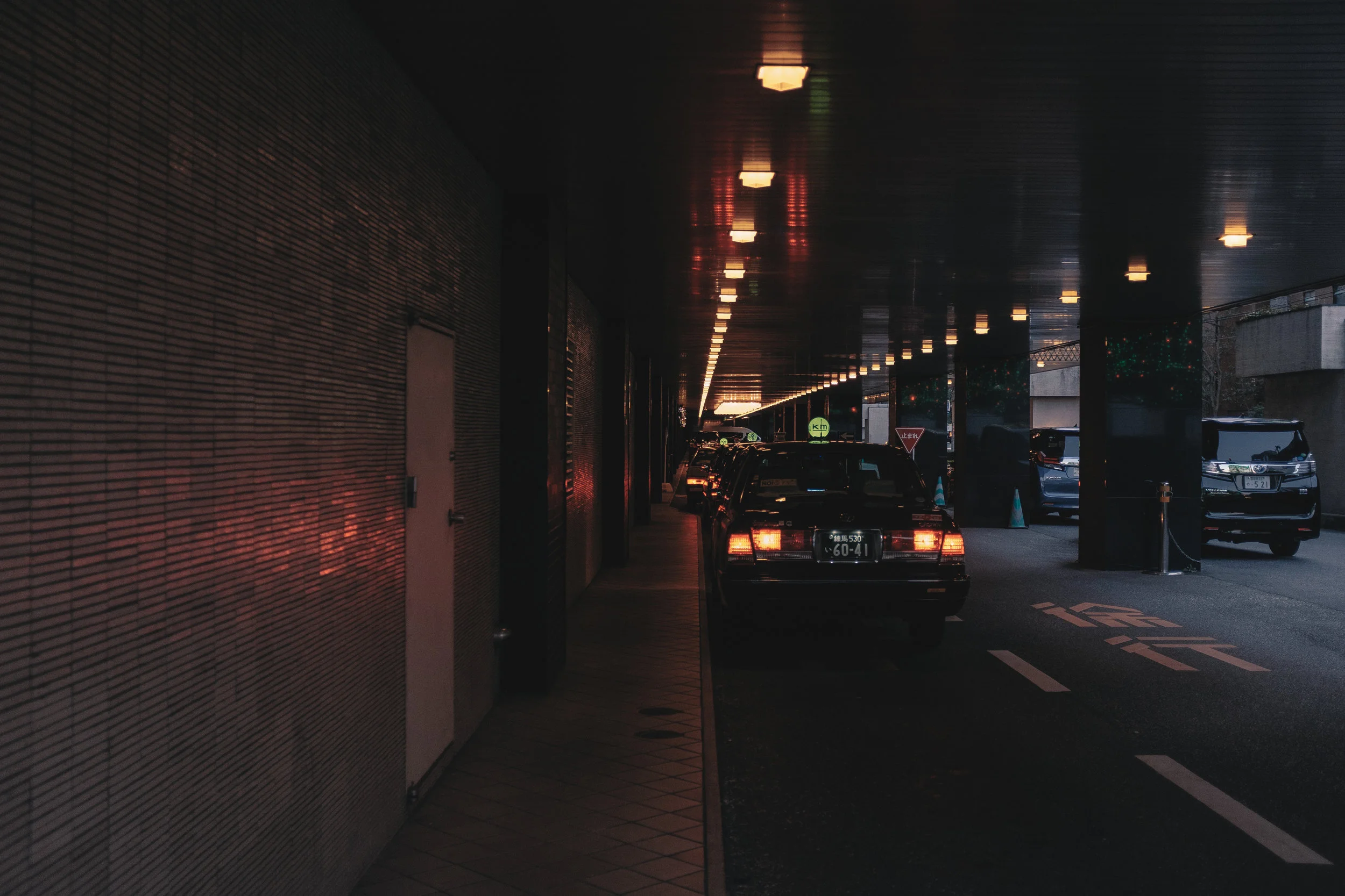 DSCF7569.jpg