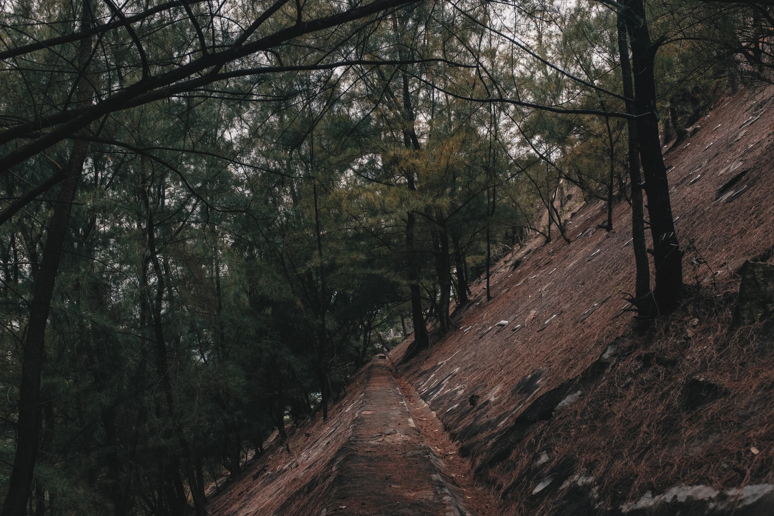 If you do decide to attempt the hill, make sure you're sound of mind 