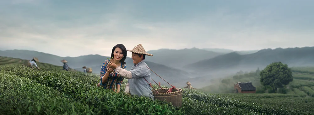 singapore_airlines_fujian_tea.jpg