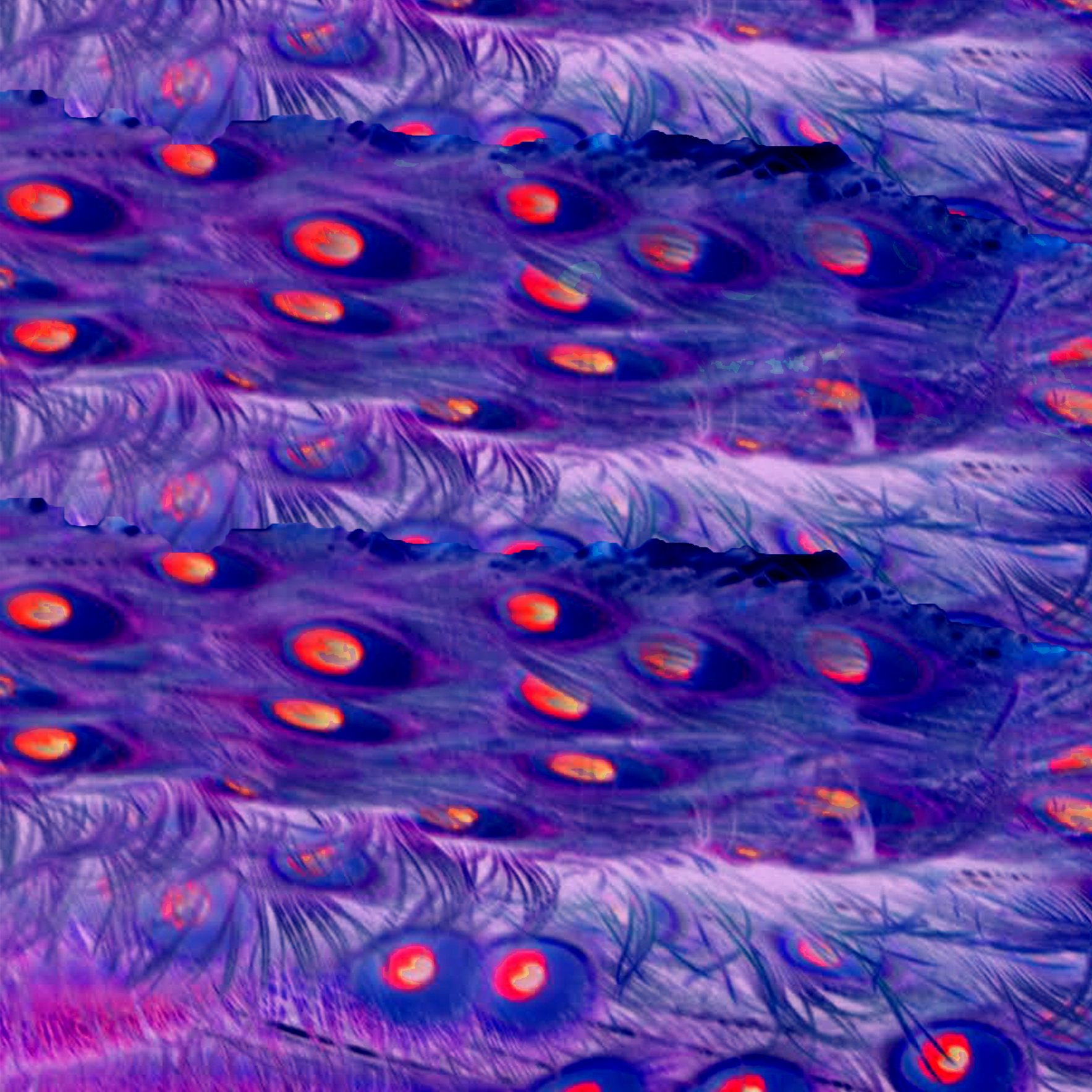 Pattern23.png