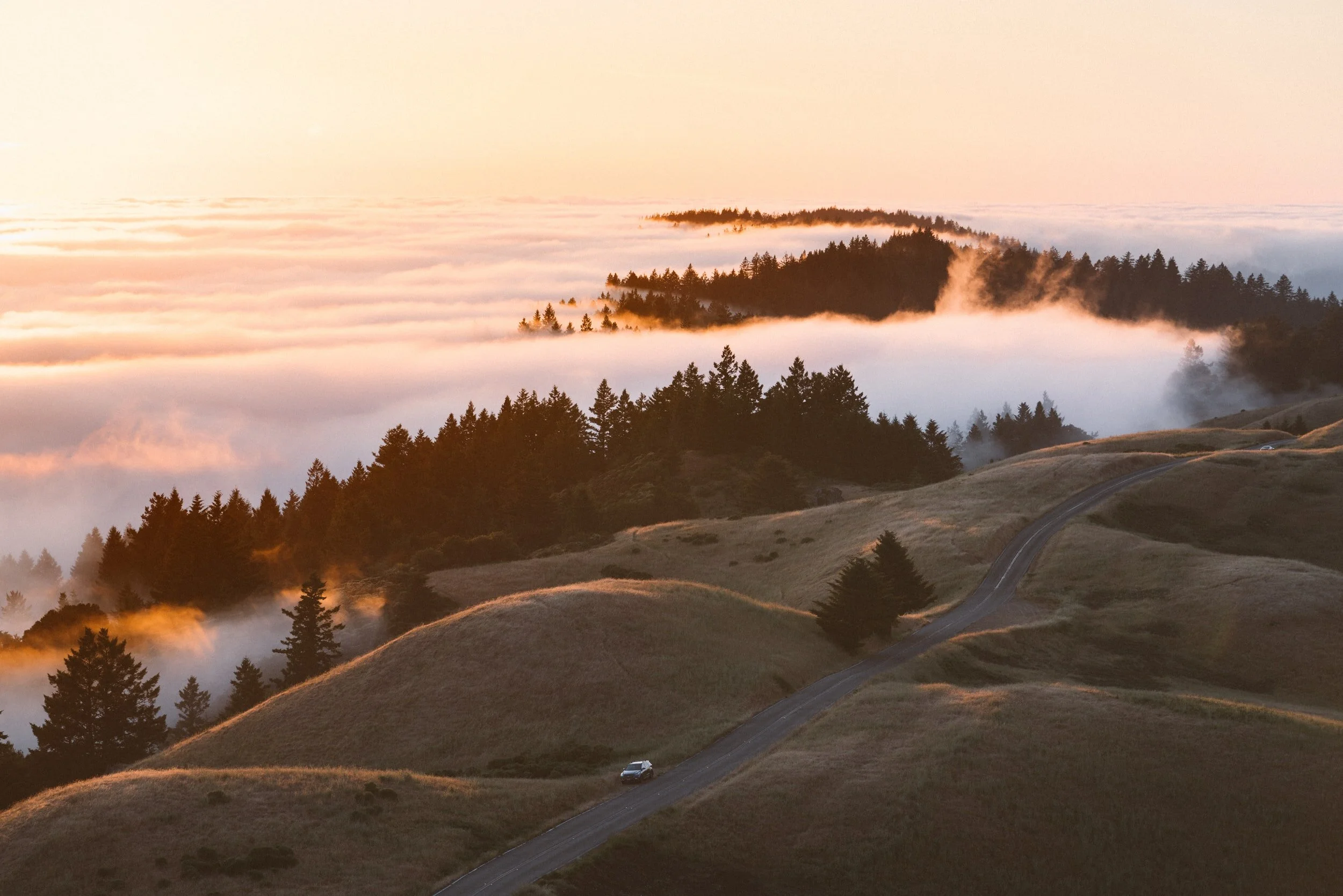 Meditate Those Bad Habits Away