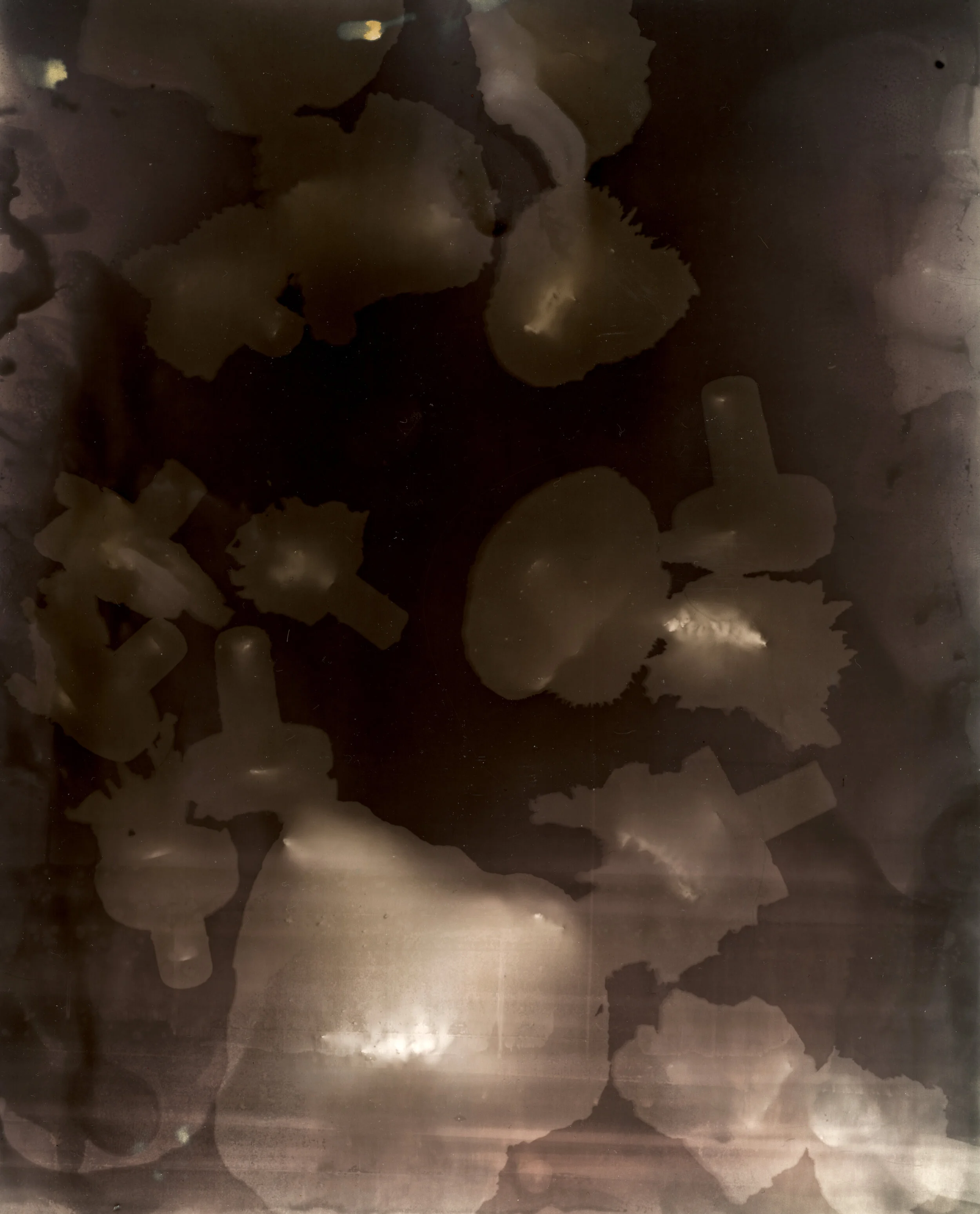 galatea darkroom edit 2_.jpg