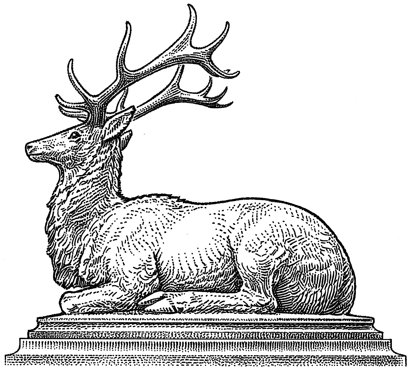 ELK-sitting_FINAL.jpg