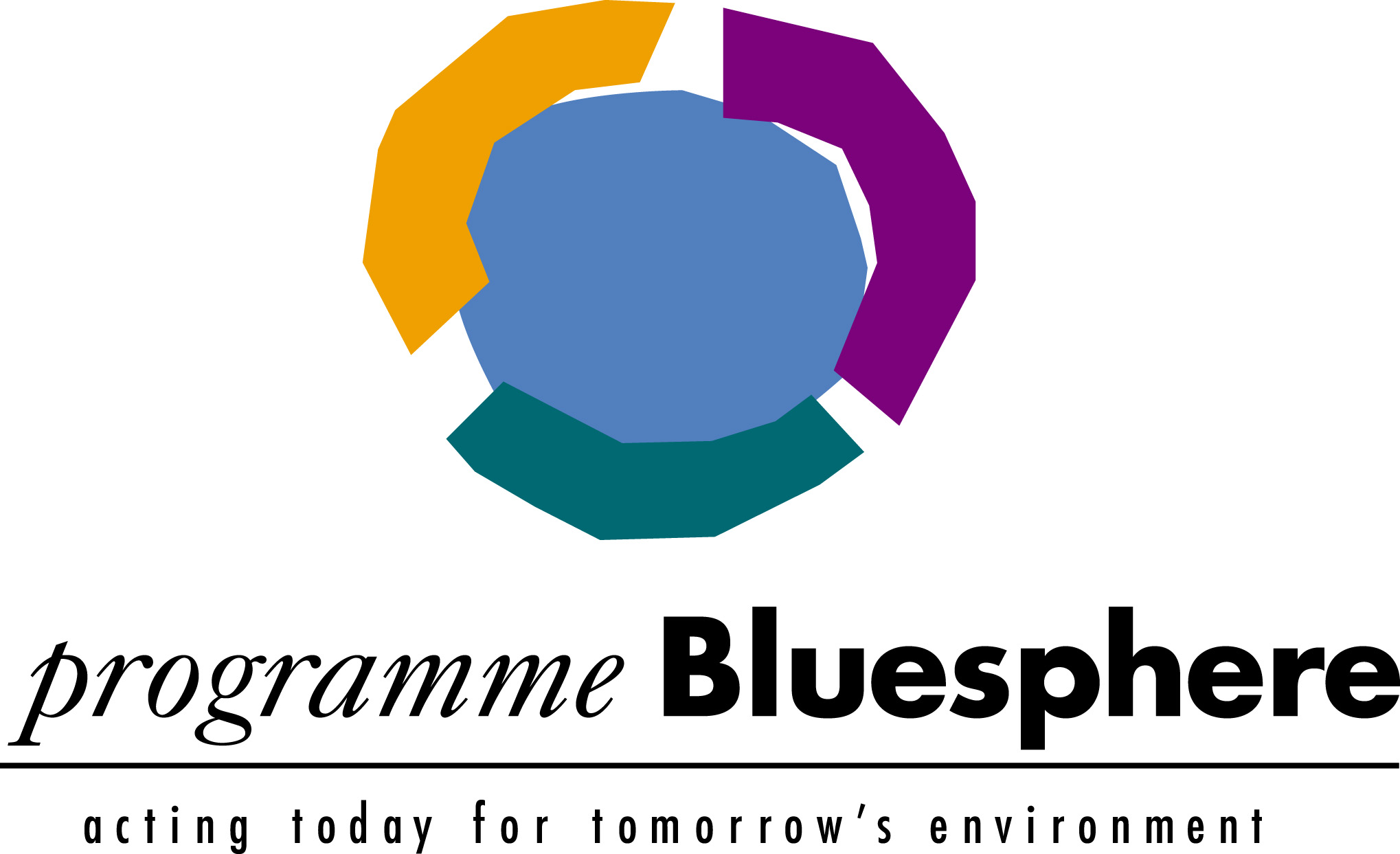 BLS bluesphere logo w:type.jpg