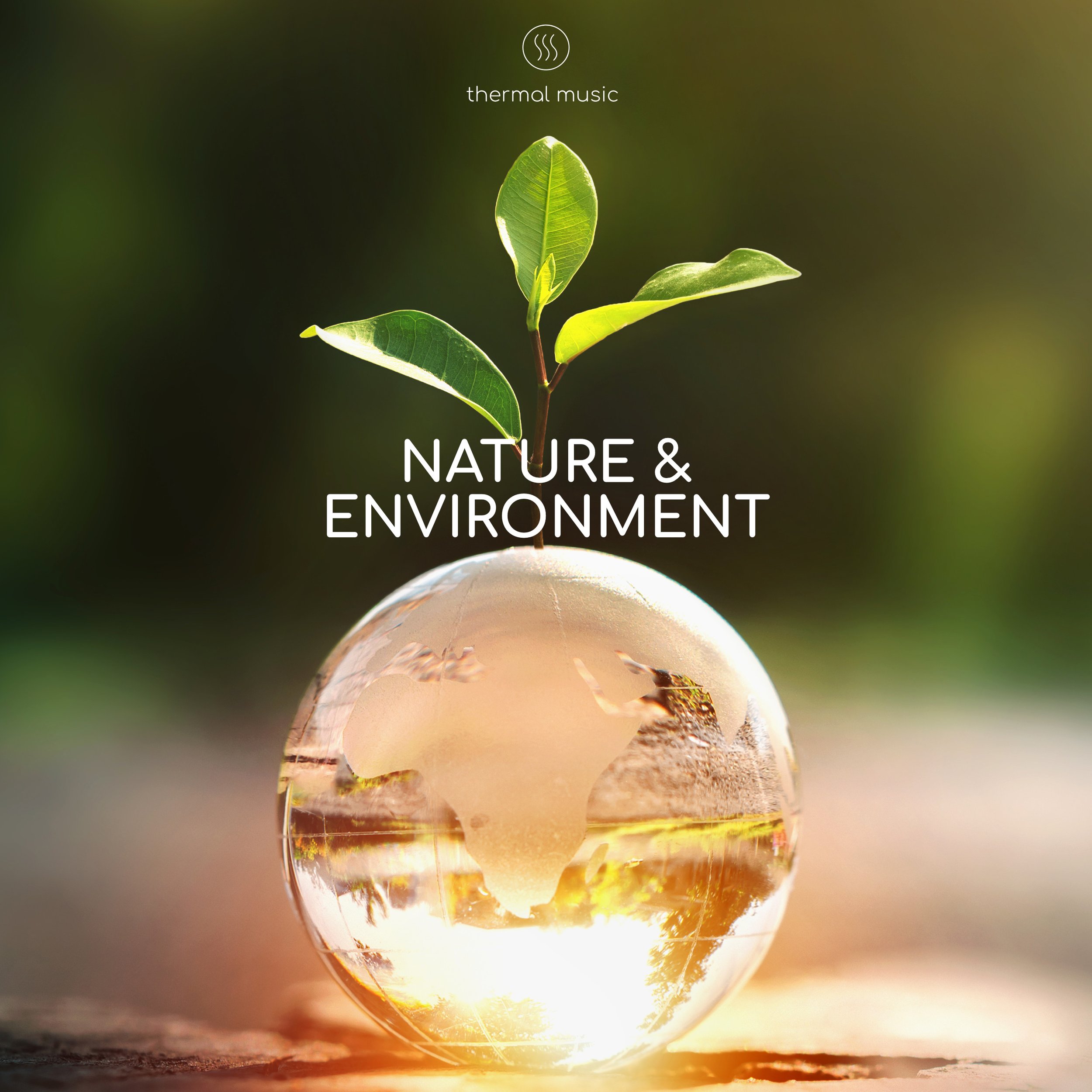 Nature&Environment.jpg