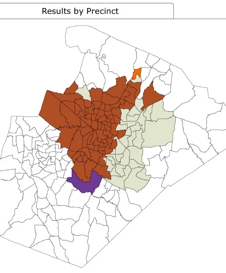 raleigh mayoral results map.jpg