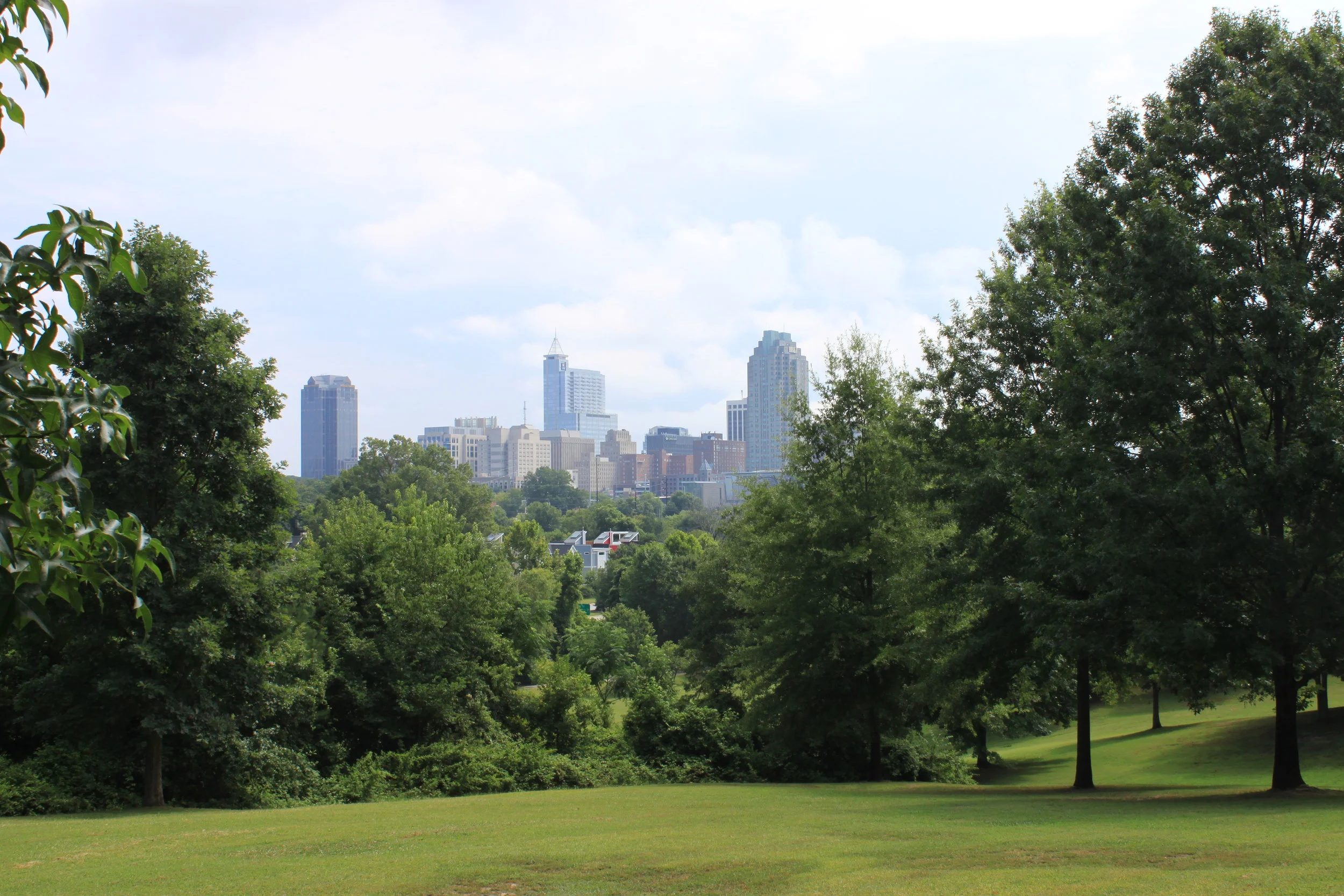Three Things I Used to Love About Living in Raleigh