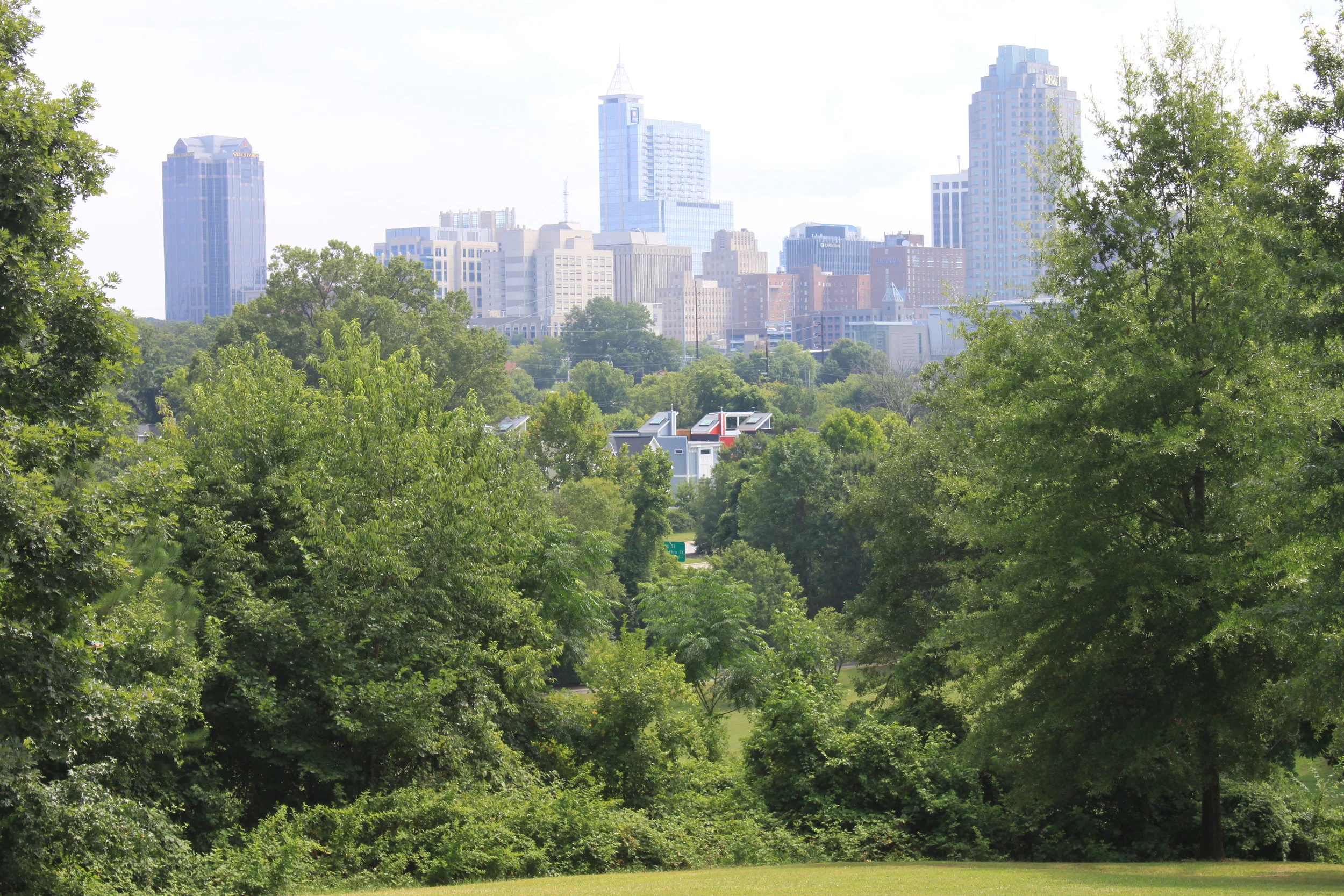 Young People to Raleigh's Leaders: Be Bold