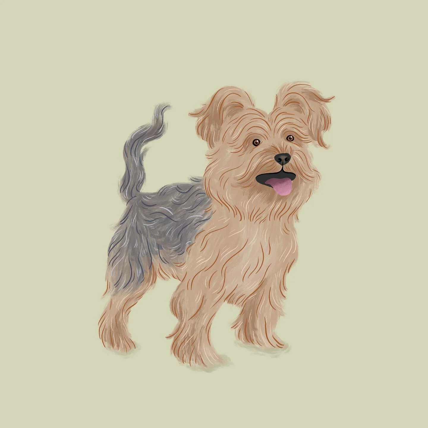 Two months ago I opened illustration commissions for the first time. Now, I am very excited to finally start sharing the results. 🥳

This cutie was one of the 3 doggies I ended up illustrating.

#cutedoggies #doggo #illustration #procreateillustration #wigglytails #merrychristmasagain #portraitillustration #portrait