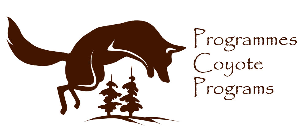 logo-transparent-big.png