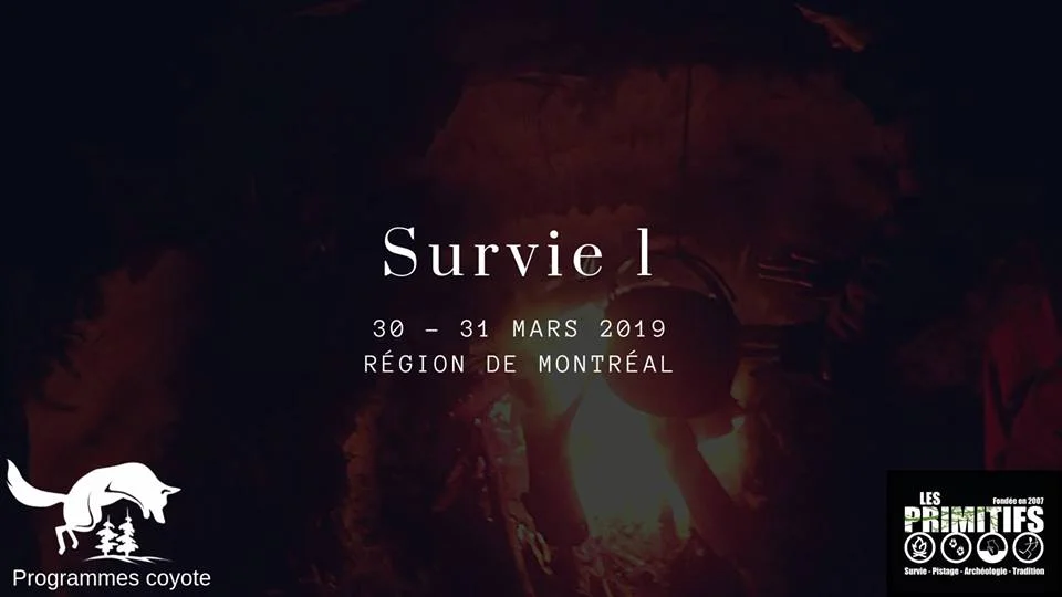 survie1mtl.jpg