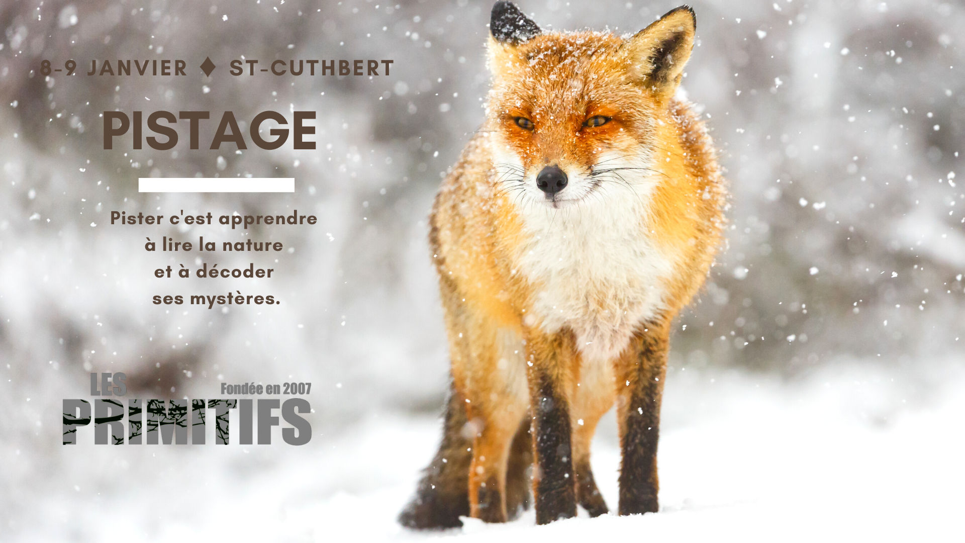 Pistage - 8 et 9 janvier 2022 (St-Cuthbert)