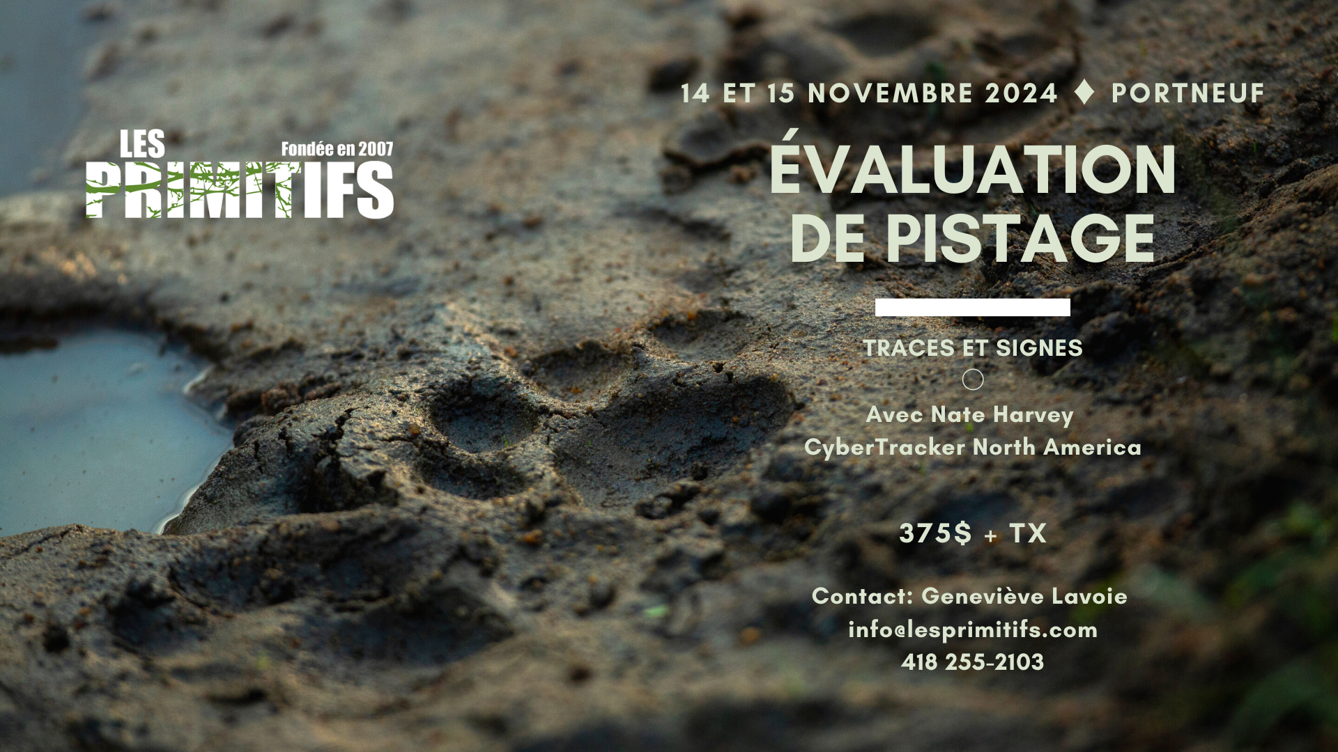 Évaluation de pistage - Traces et signes (Rivière-à-Pierre)