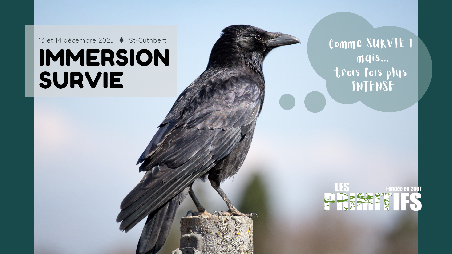 Immersion survie (St-Cuthbert)