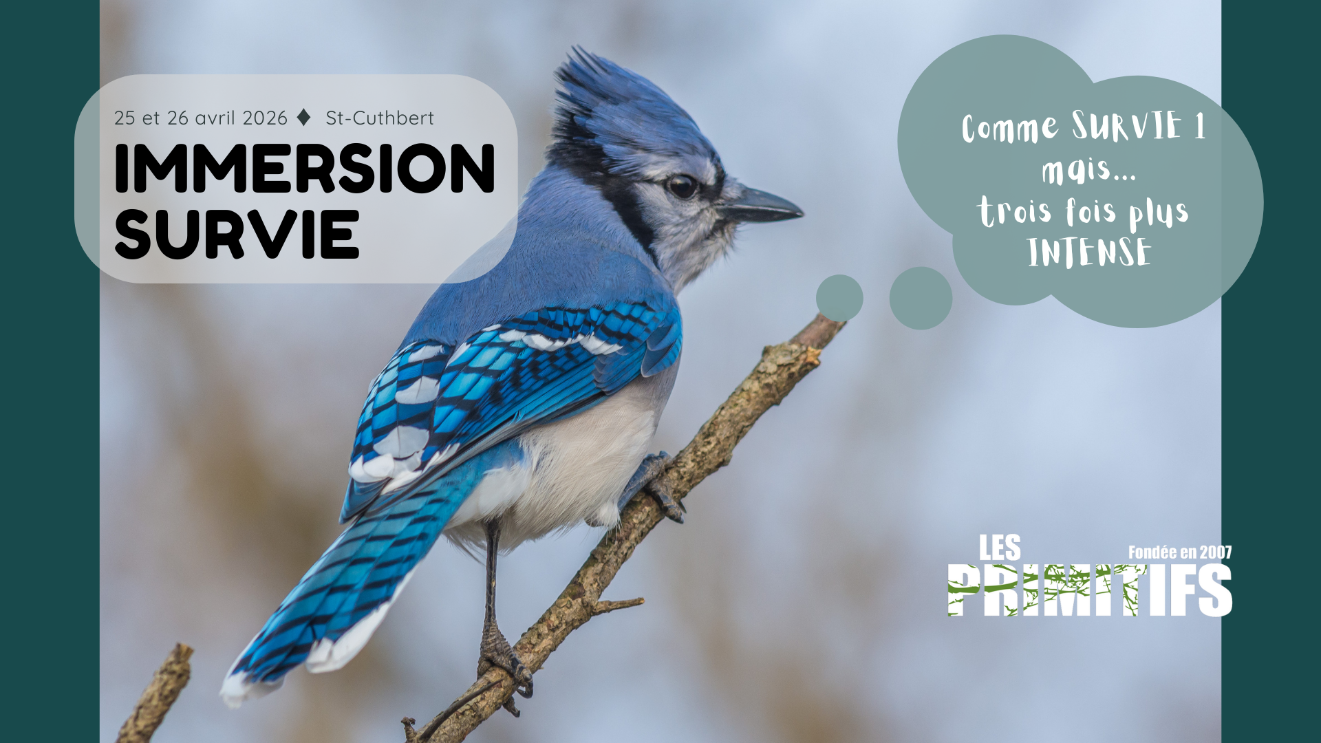 Immersion avril St-Cuthbert.png