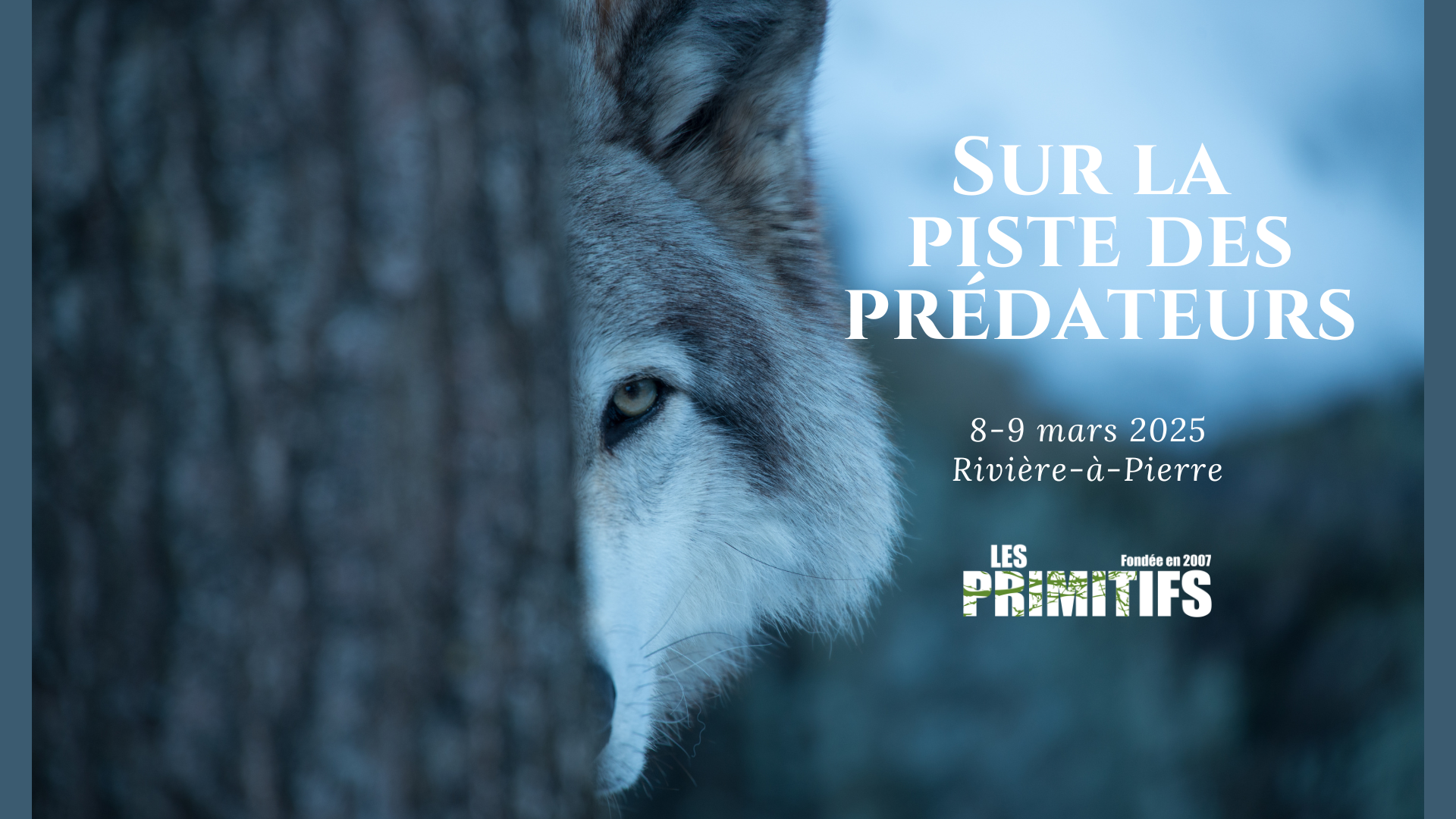 _Sur la piste des prédateurs.png