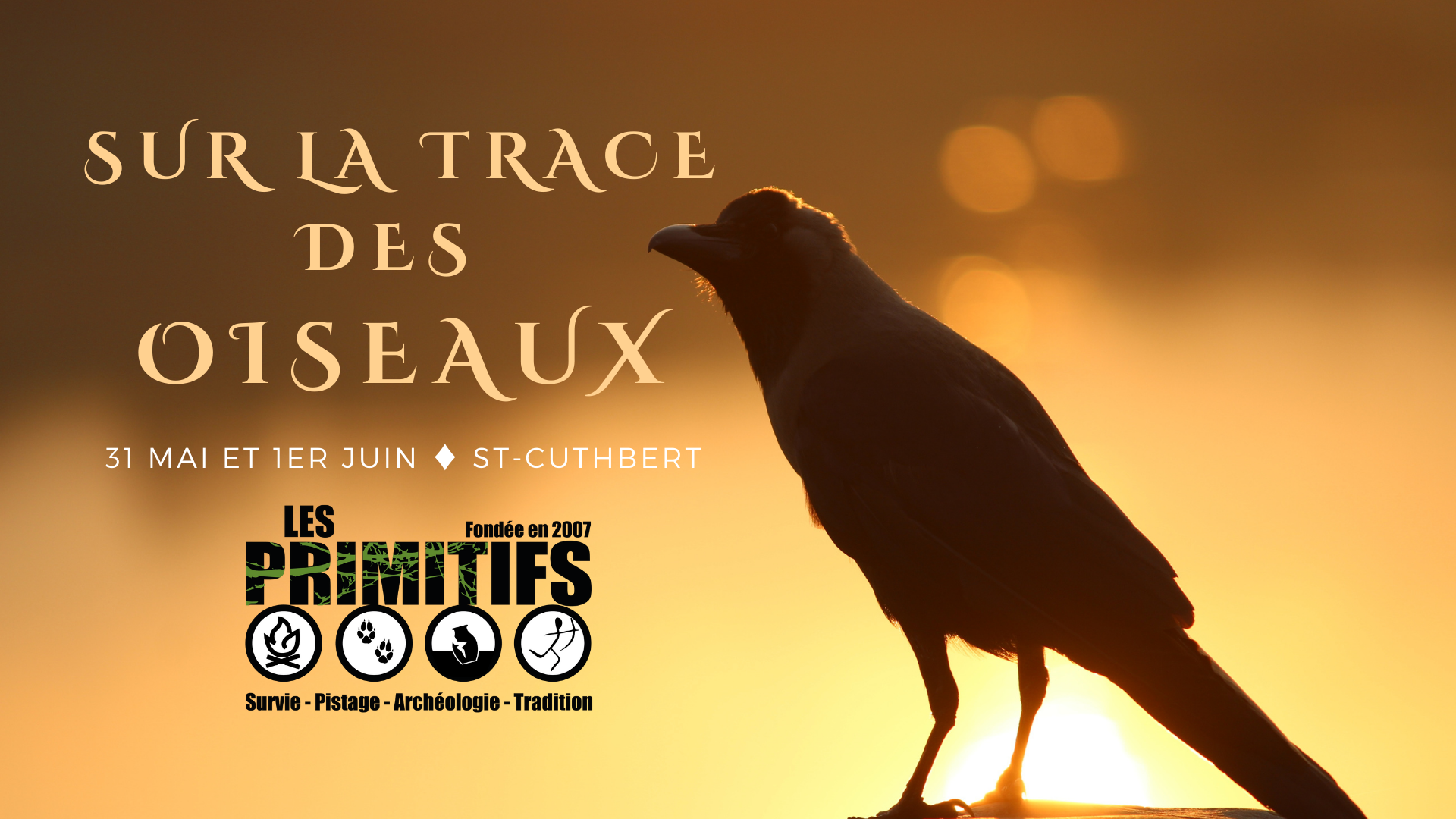 Sur la trace des oiseaux.png