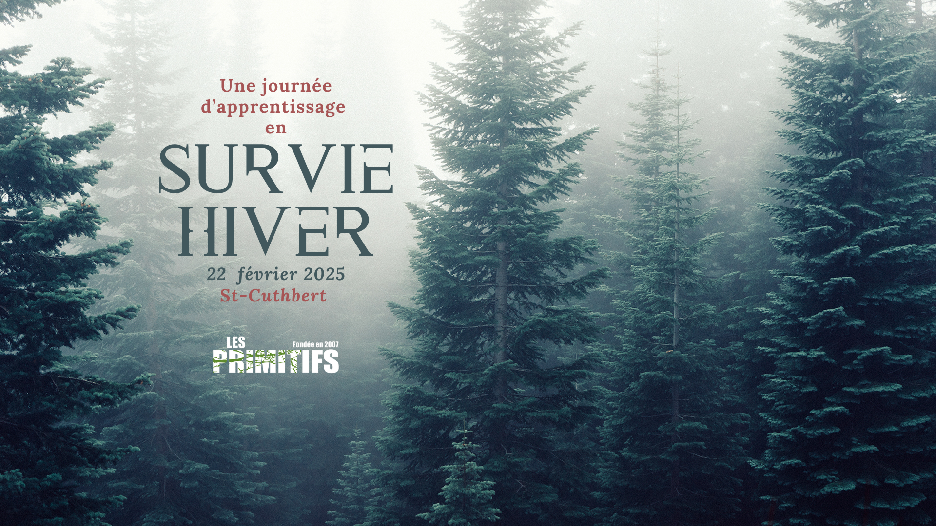 Survie hiver ulm 22 février.png