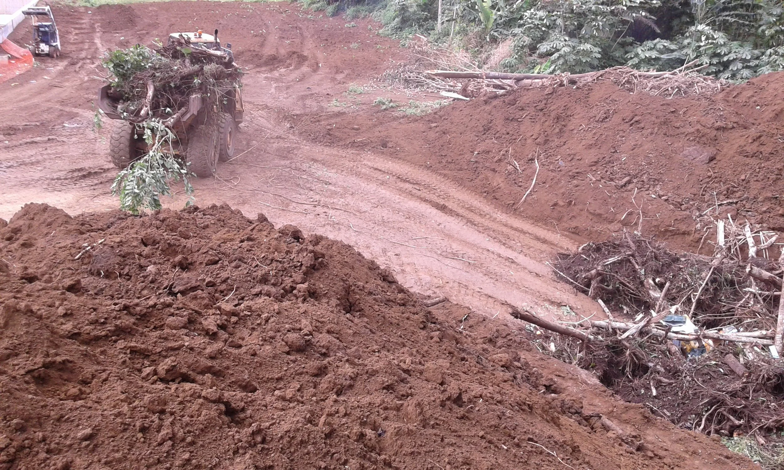 20150929_144515.jpg