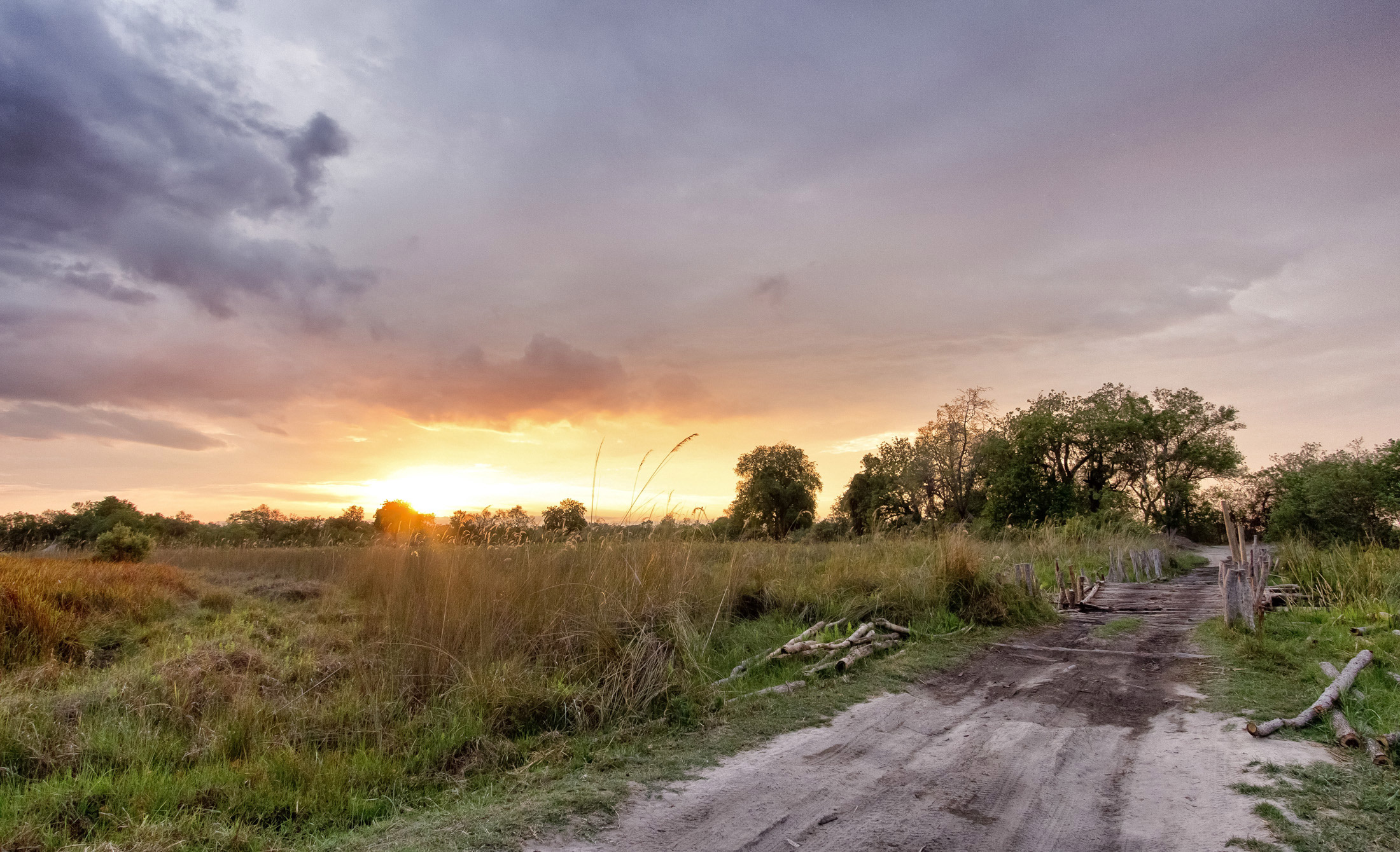 Third Bridge Camp, Moremi Game Reserve