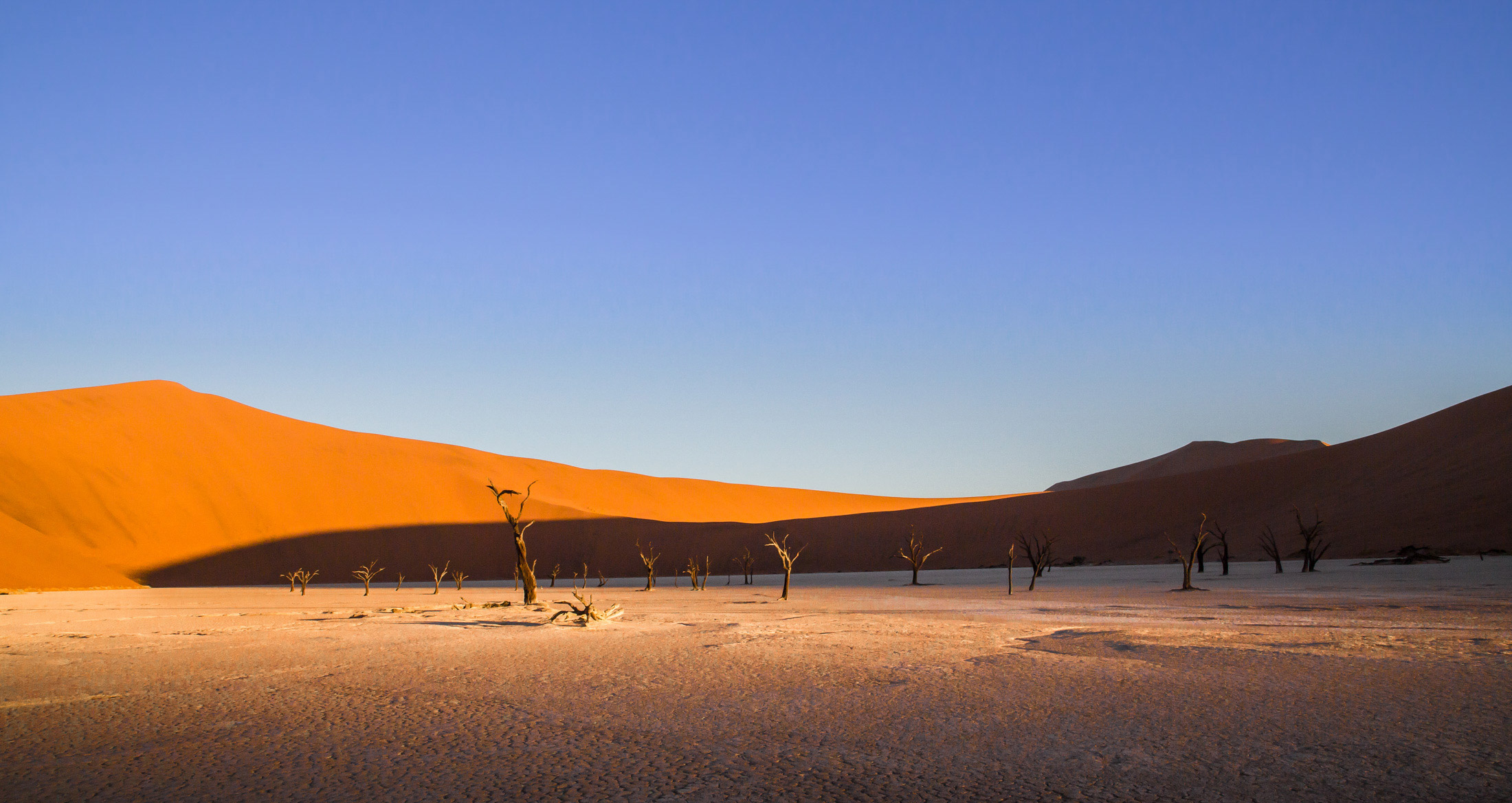 Deadvlei Pan, Sossusvlei