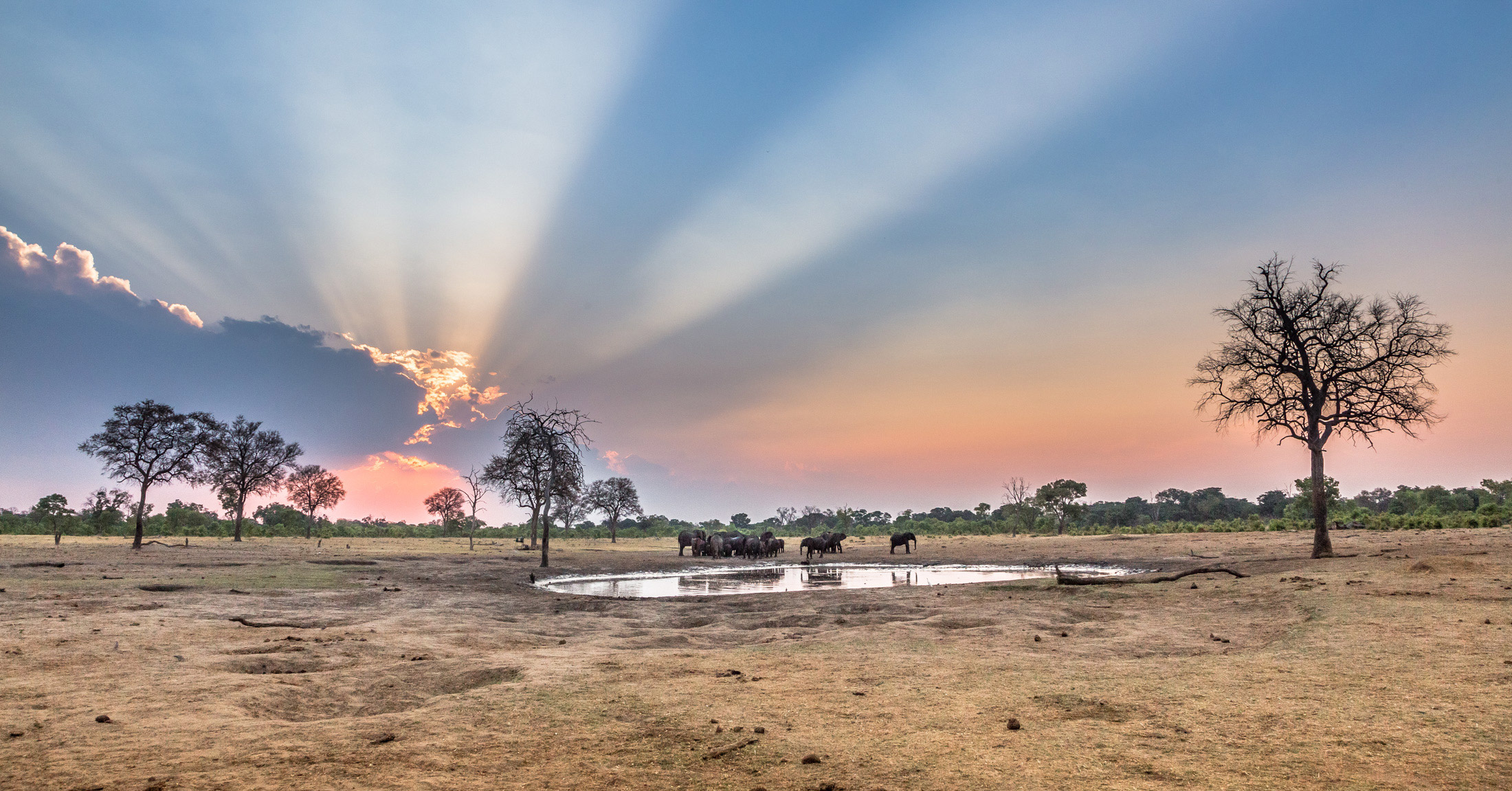 Elephants in Hwange, Zimbabwe