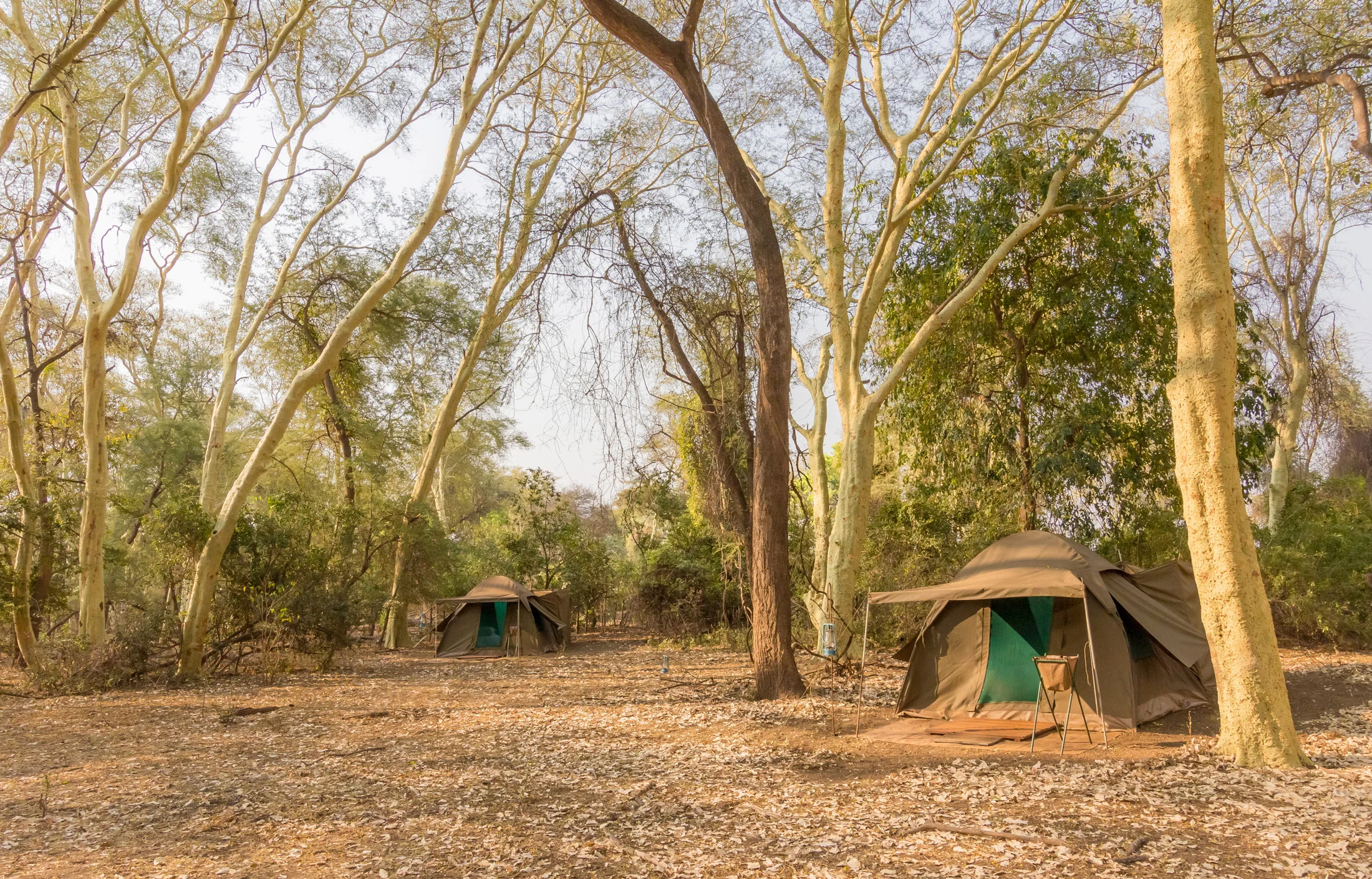 Tented Camp, Pafuri/Makuleke Concession
