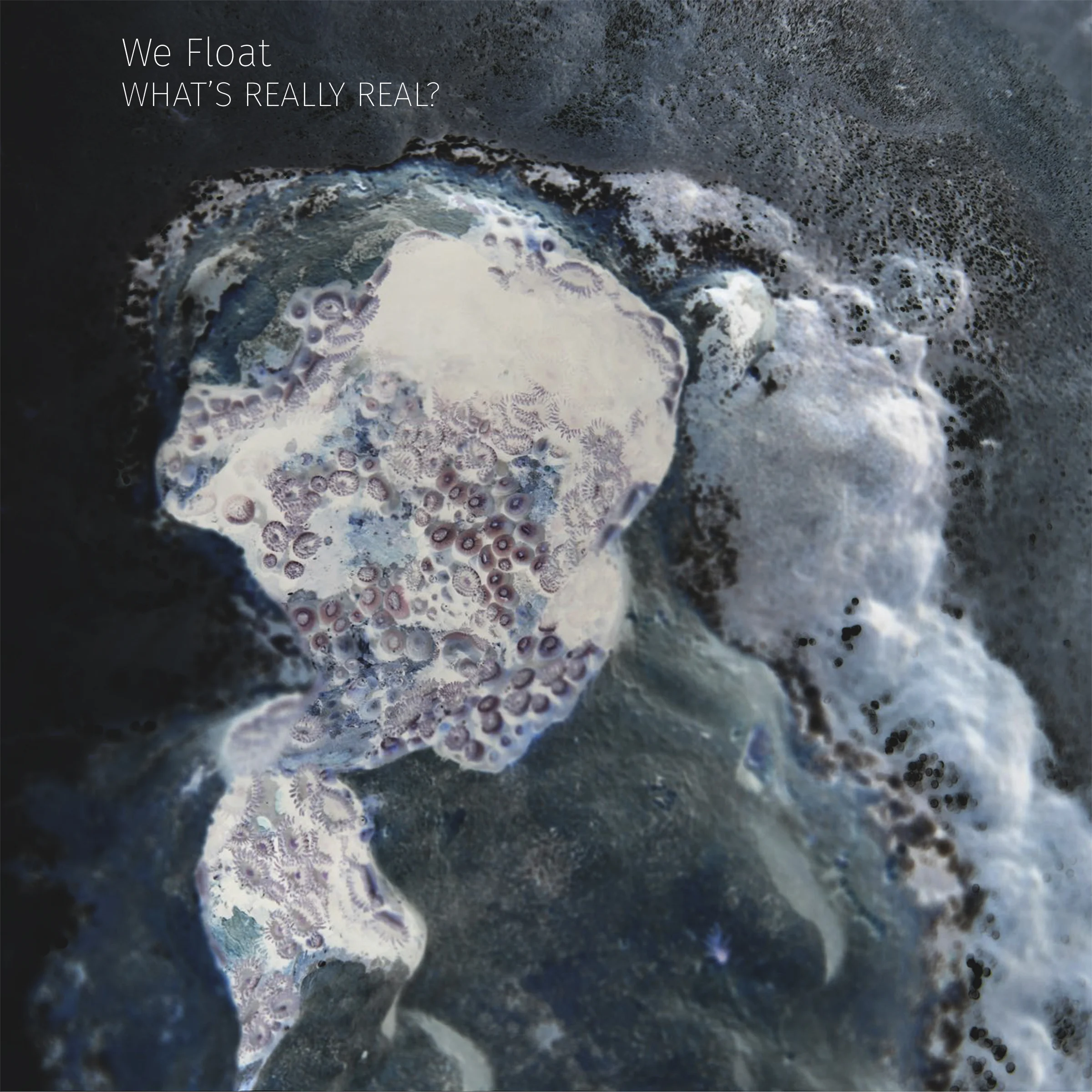 We Float coverart.jpeg