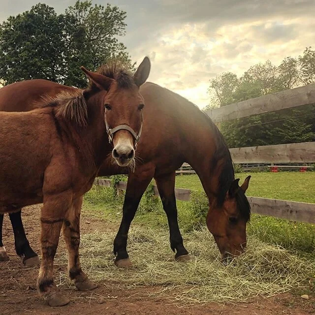 Jack and Leo 😍