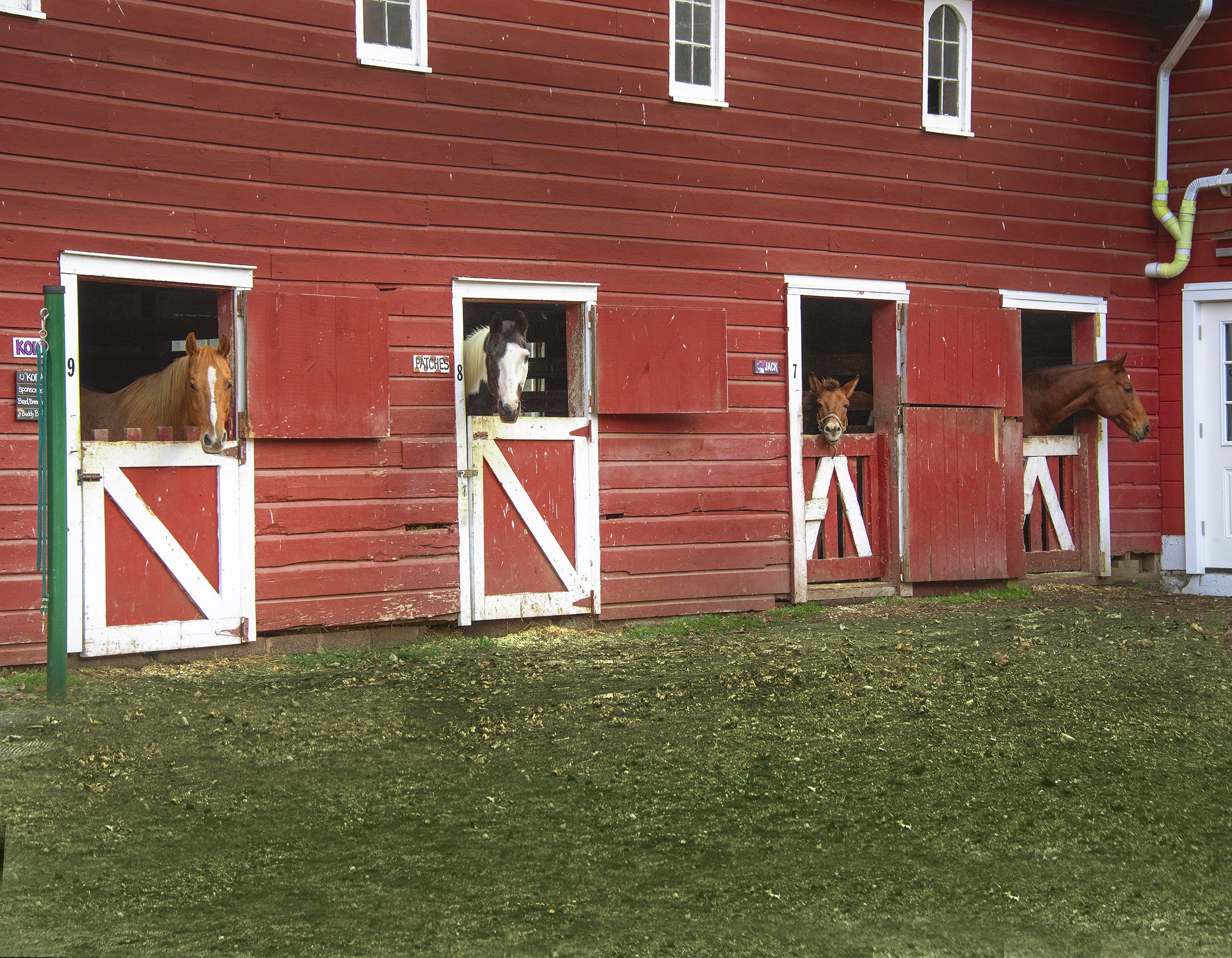 2020_1DA_0372Barn ext.jpg