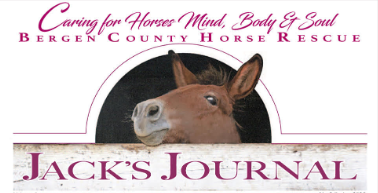 Jack’s Journal: Vol. 3, No. 2, Spring 2025