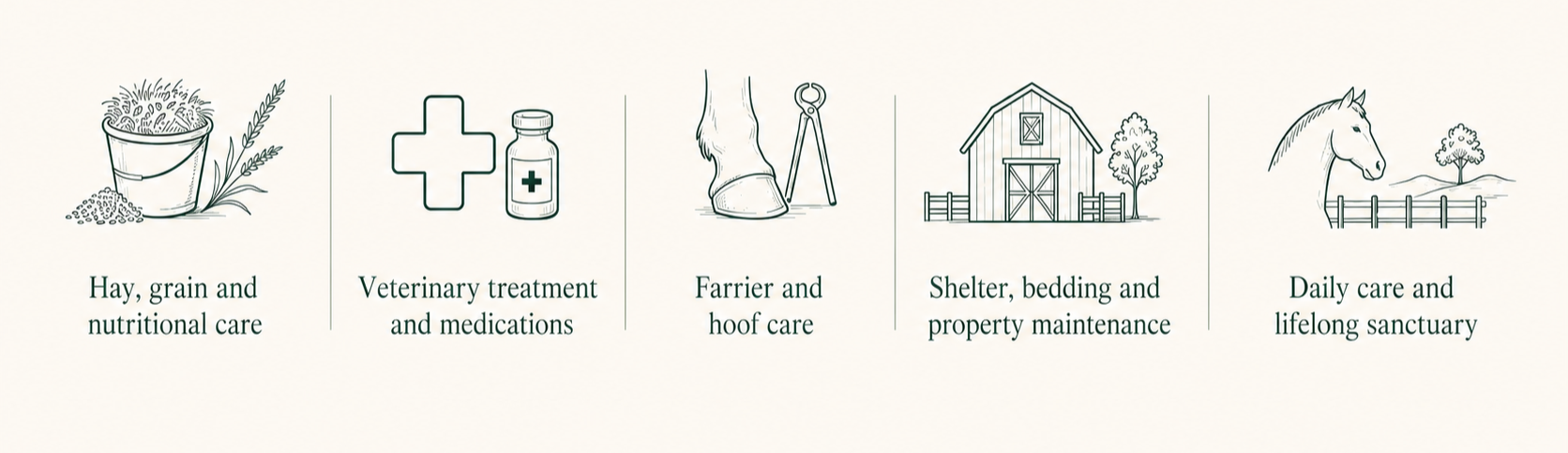 Where donations go - to hay, care, shelter, rehabilitation.