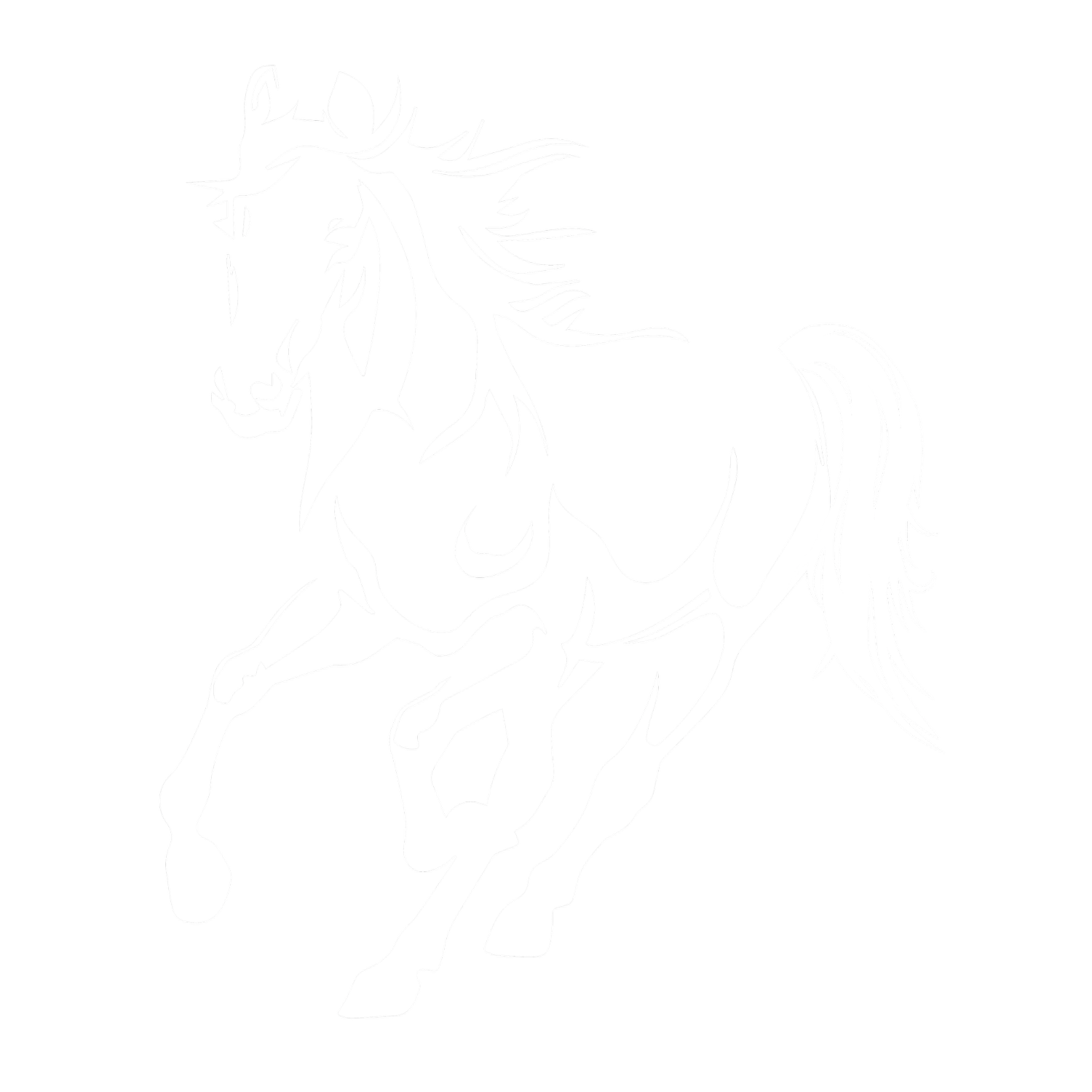 Bergen County Horse Rescue &amp; Sanctuary