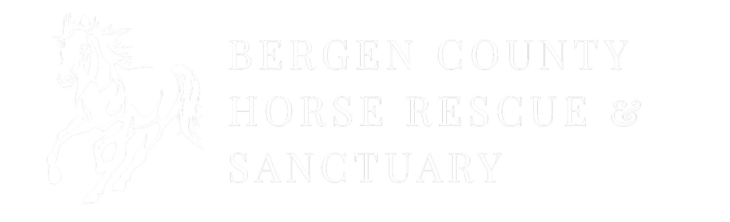 Bergen County Horse Rescue &amp; Sanctuary