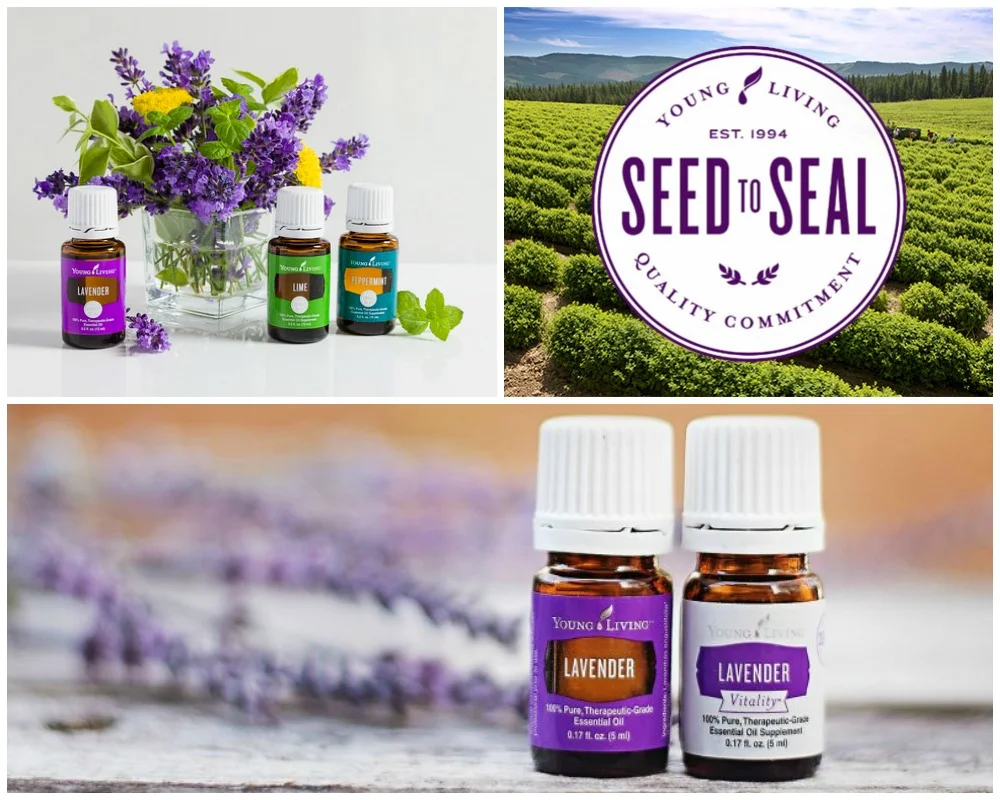 Young Living Des Moines IA Katy Polich.jpg