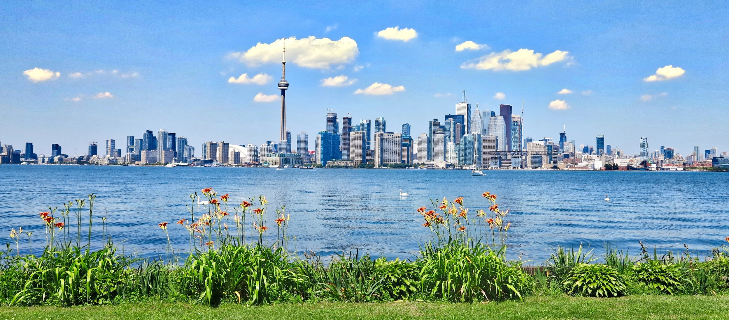 torontoskyline.jpeg