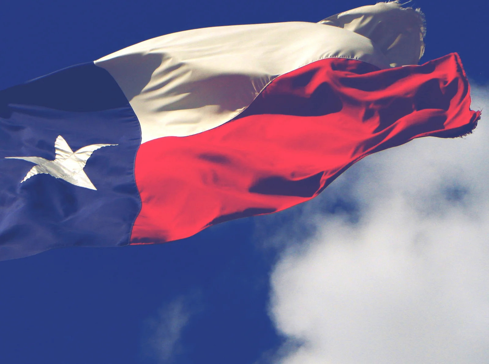 TX.jpg