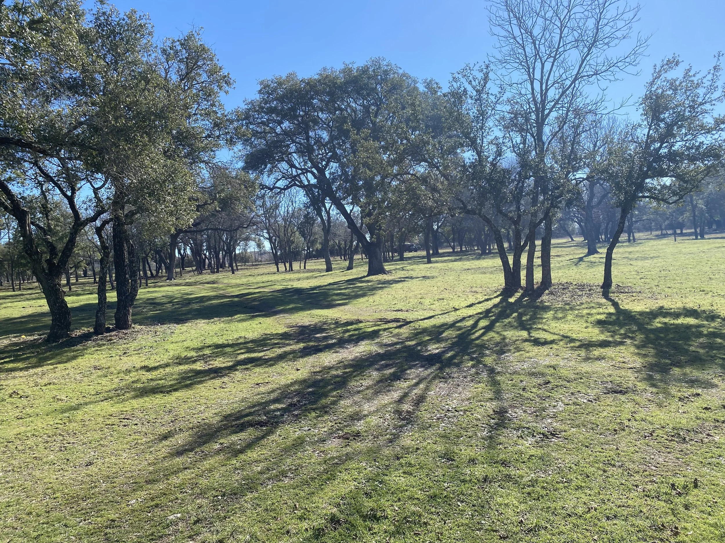 IMG_3208 (1).jpeg