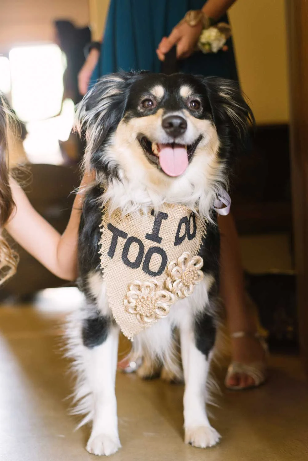 0124_KristinSean_wed.jpg