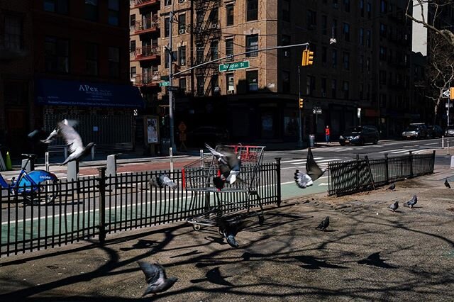 #emptystreets #newyork #onlineshopping #onlineorder #nyc #lockdown #homedepot #people #pigeon #showtime