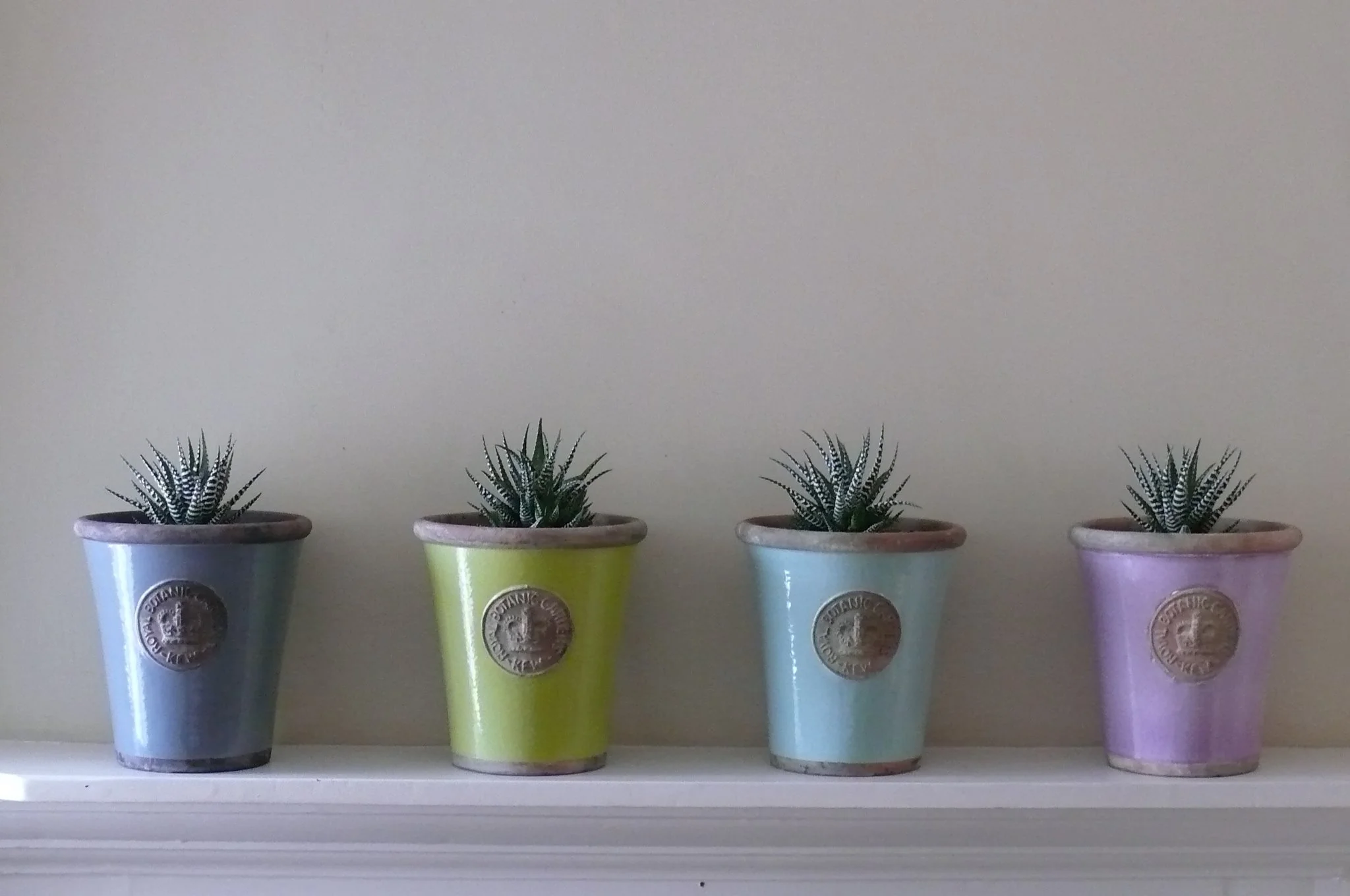4 pots in a row 011 2.jpg