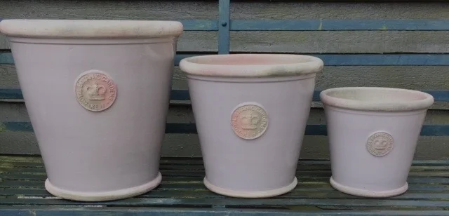 Large Long Tom pots Large H:20 x W: 23 cm - £28 XL H: 27 x W: 30cm - £42 XXL H: 35 x W: 35cm - £62