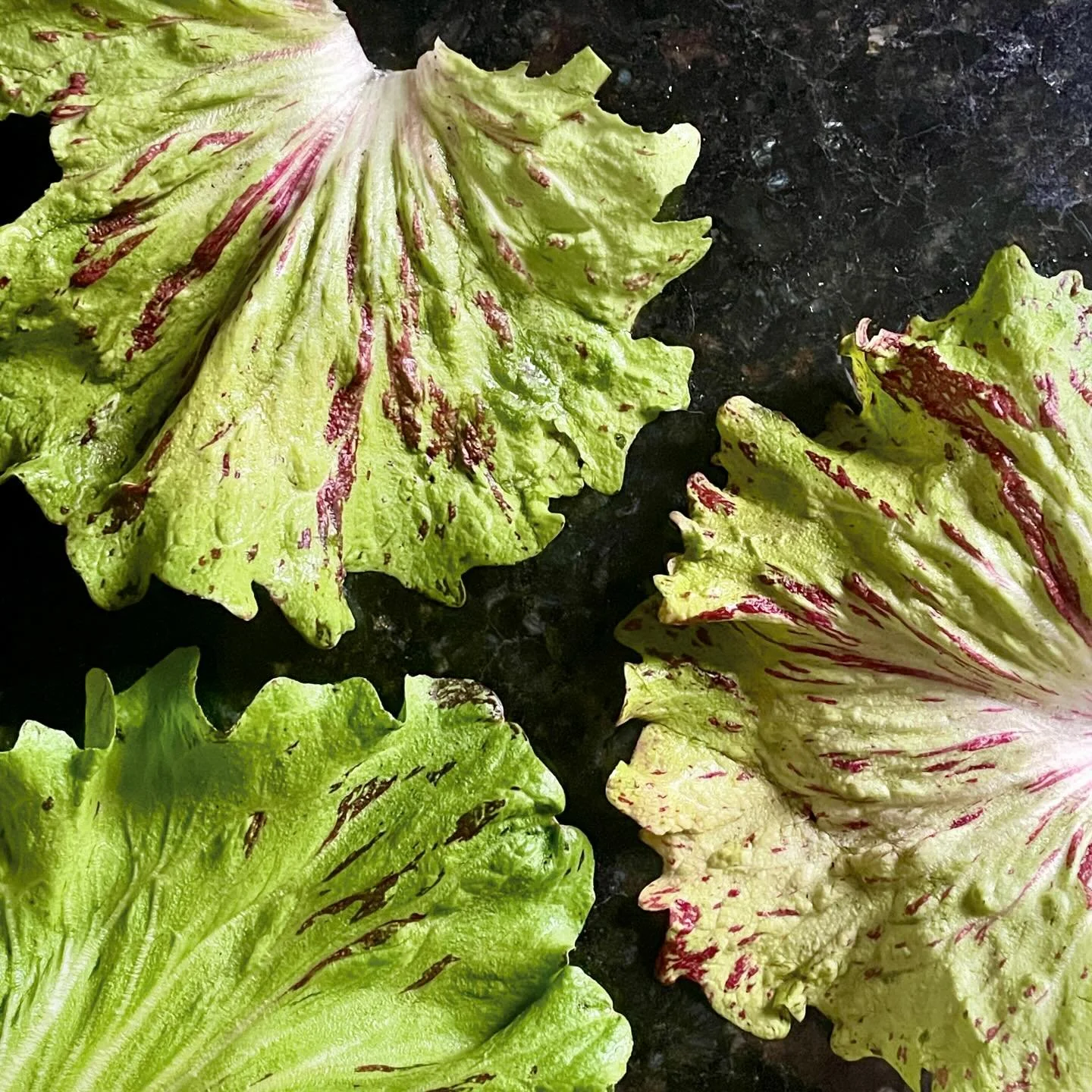 The thing about gardening is that it forces you to slow down, to wait. When I first planted these Castelfranco radicchio seeds, they sprouted a lovely geeen color and were tasty. But&hellip; I left them in the ground over winter and they came back wi