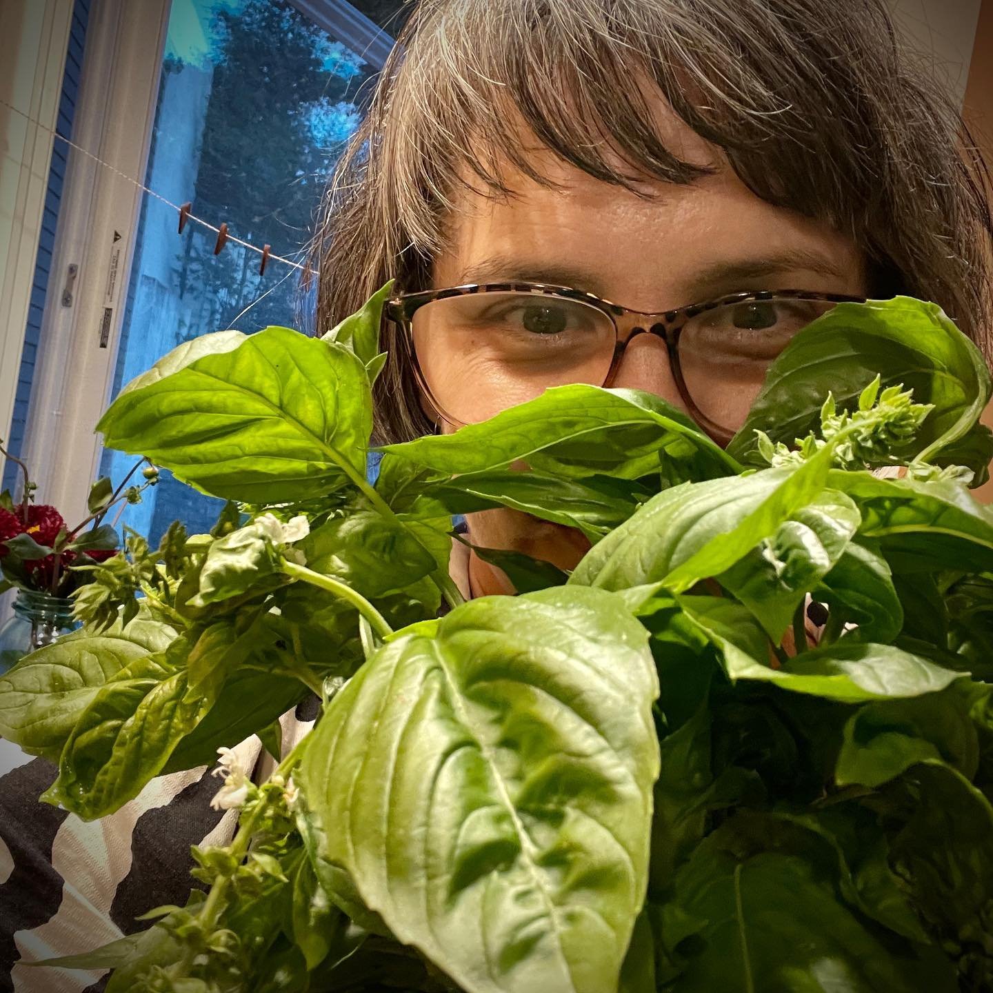 Can&rsquo;t talk, too busy shoving my face into this basil. Byeee! 🌱🍃