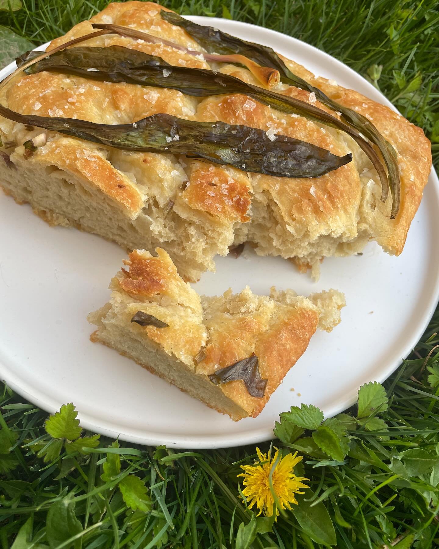 I have a few recipes in the new issue of Edible Lehigh Valley: Ramp Focaccia, Fir Tips Panna Cotta and Rhubarb-B-Que Sauce! Check it out!  @edible_lehigh_valley