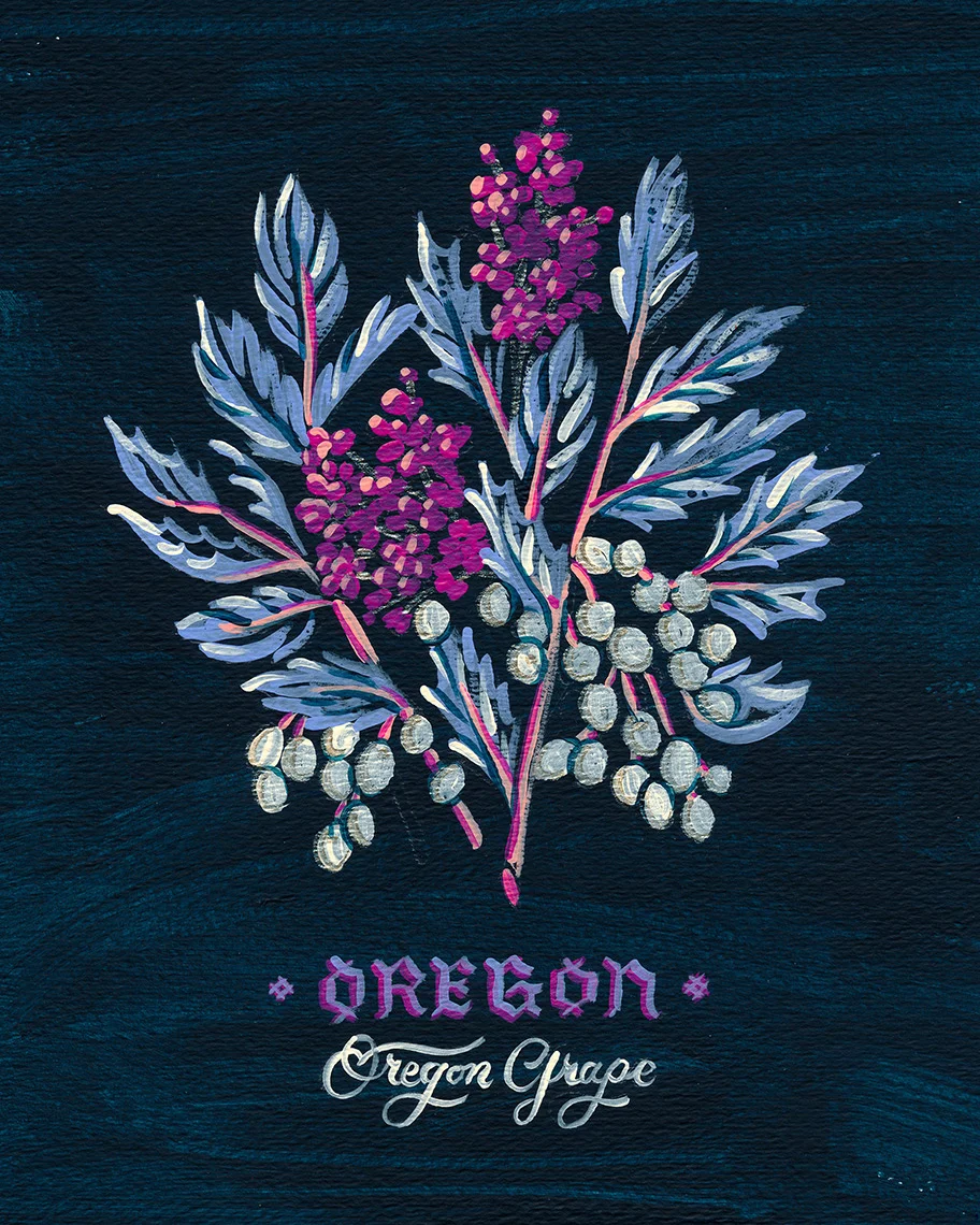 JillDeHaan_StateFlowers_Oregon.jpg