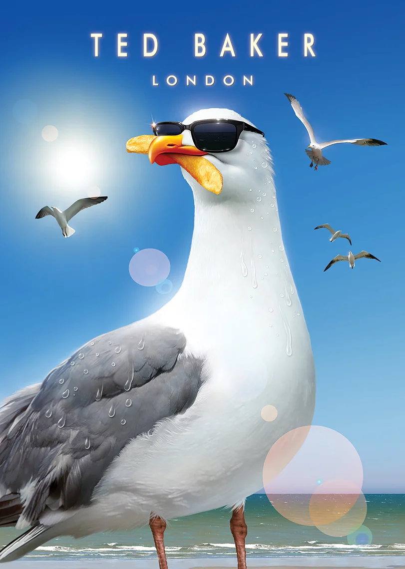 Seagull_TB.jpg