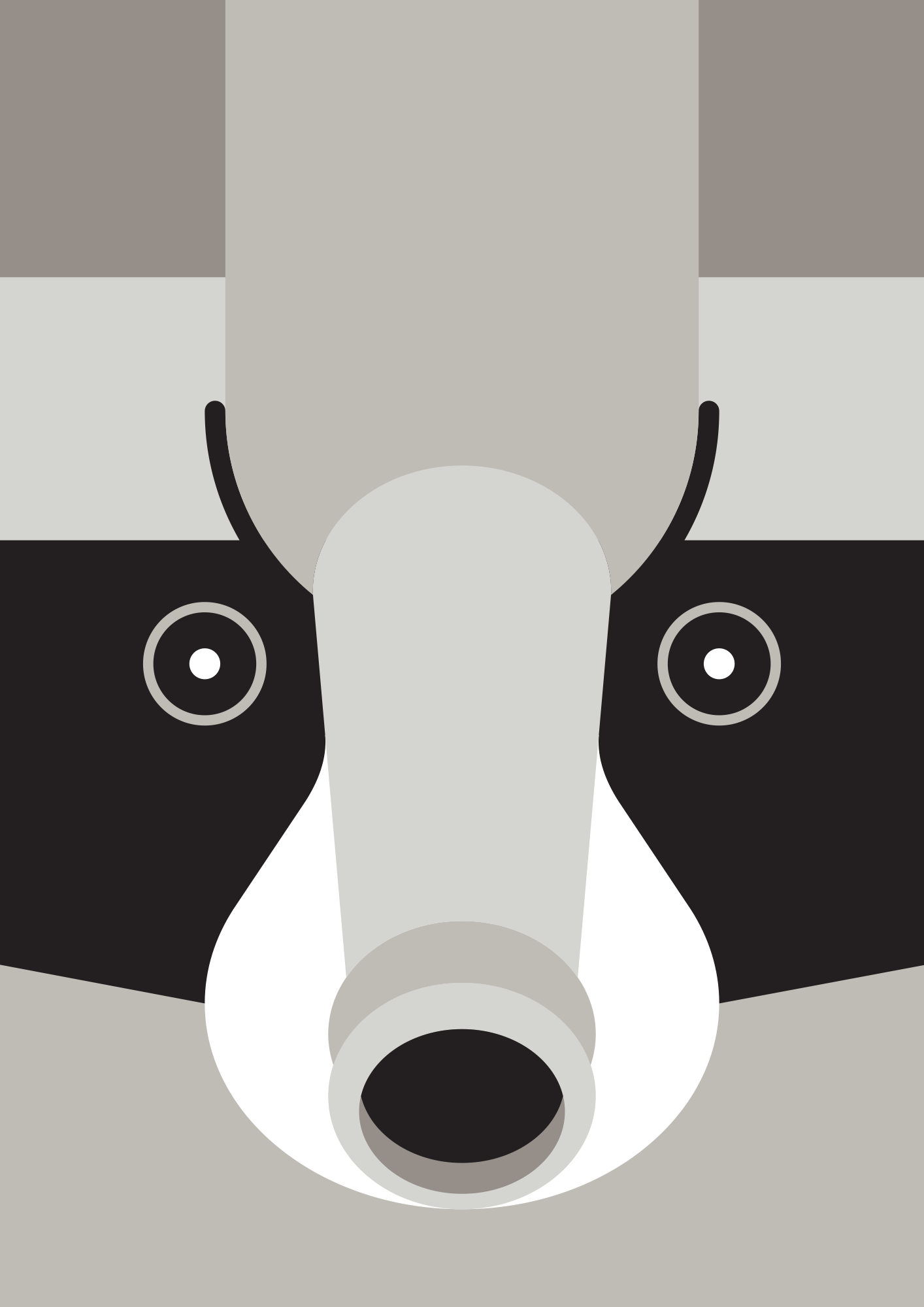 Pate_Racoon.gif